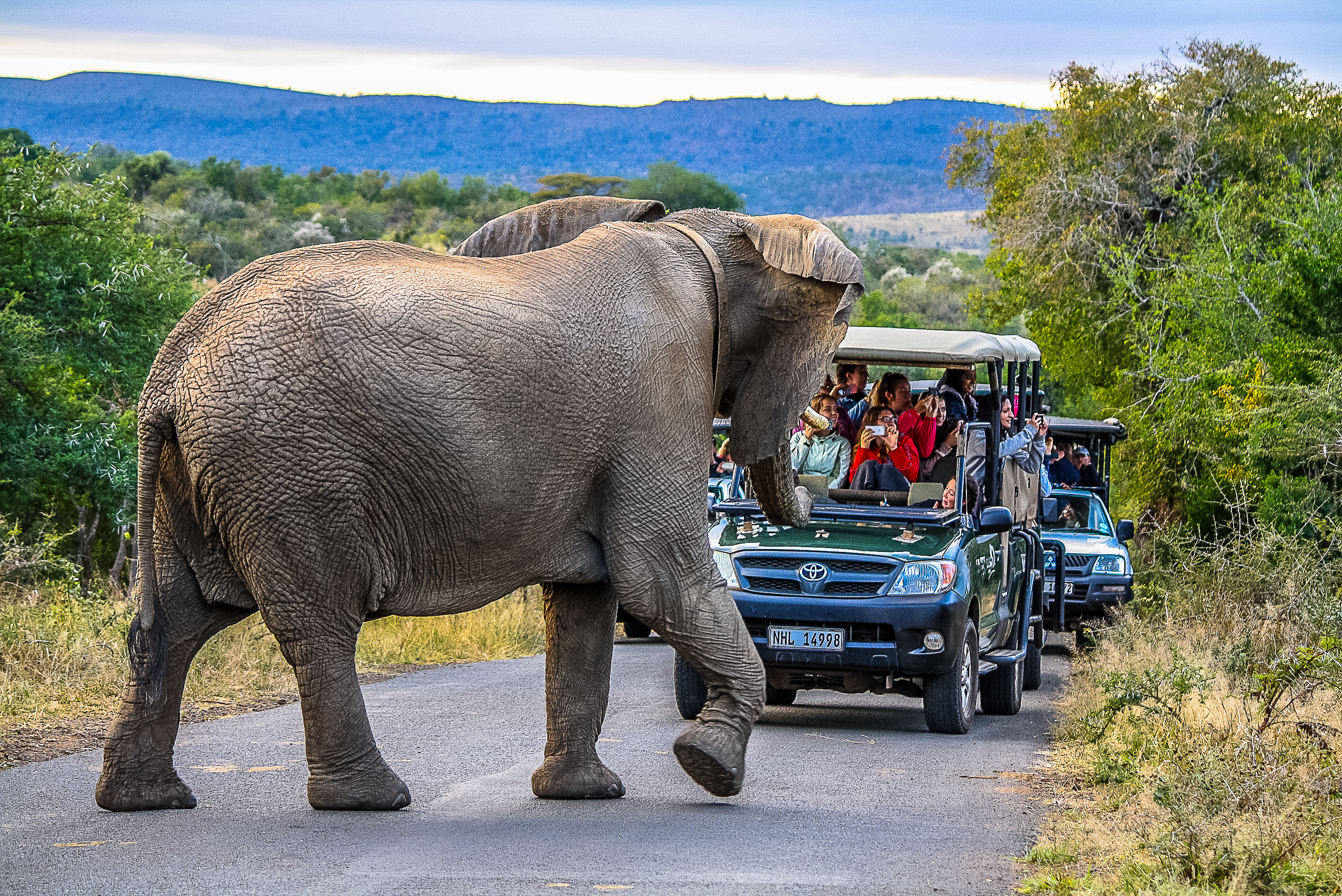 Hluhluwe-Imfolozi: Big 5 Full or Half-Day Safari – The Big 5 Hlabisa Municipality, South Africa