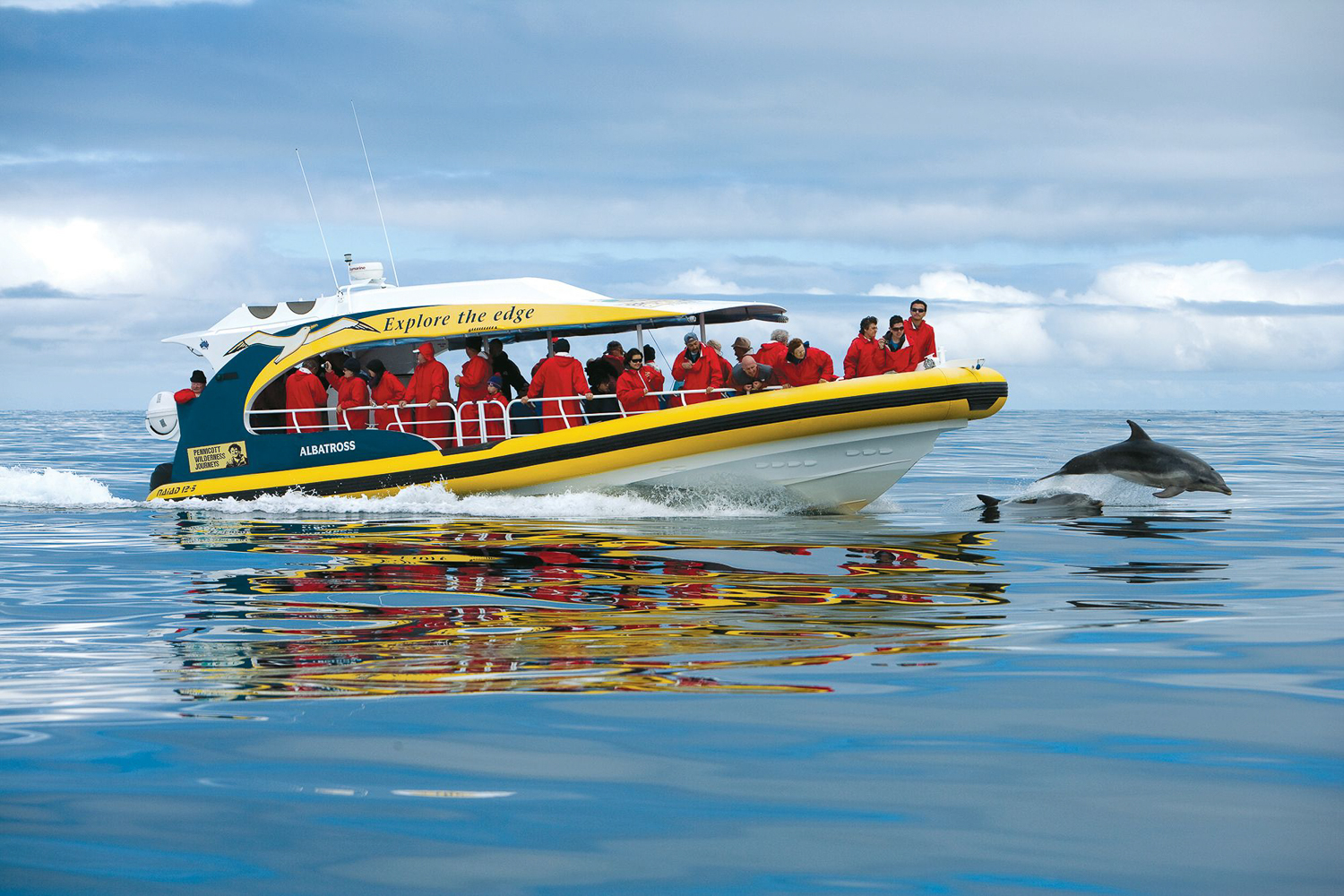 Hobart: Bruny Island Wilderness Coast Eco Cruise with Lunch – Adventure Bay, Australia