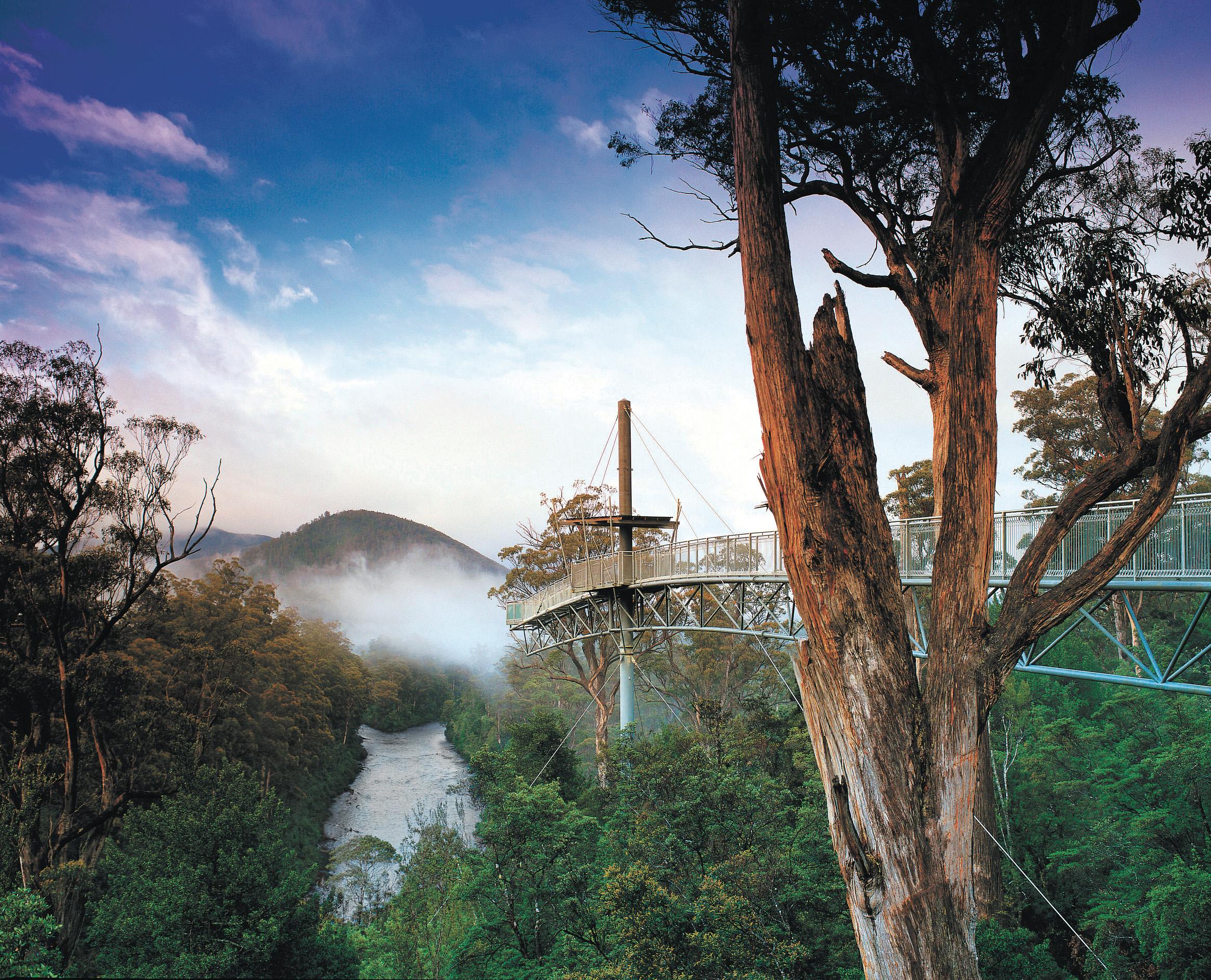 Hobart: Hastings Cave, Tahune Airwalk and Huon Tasting Trail – Huon River, Australia