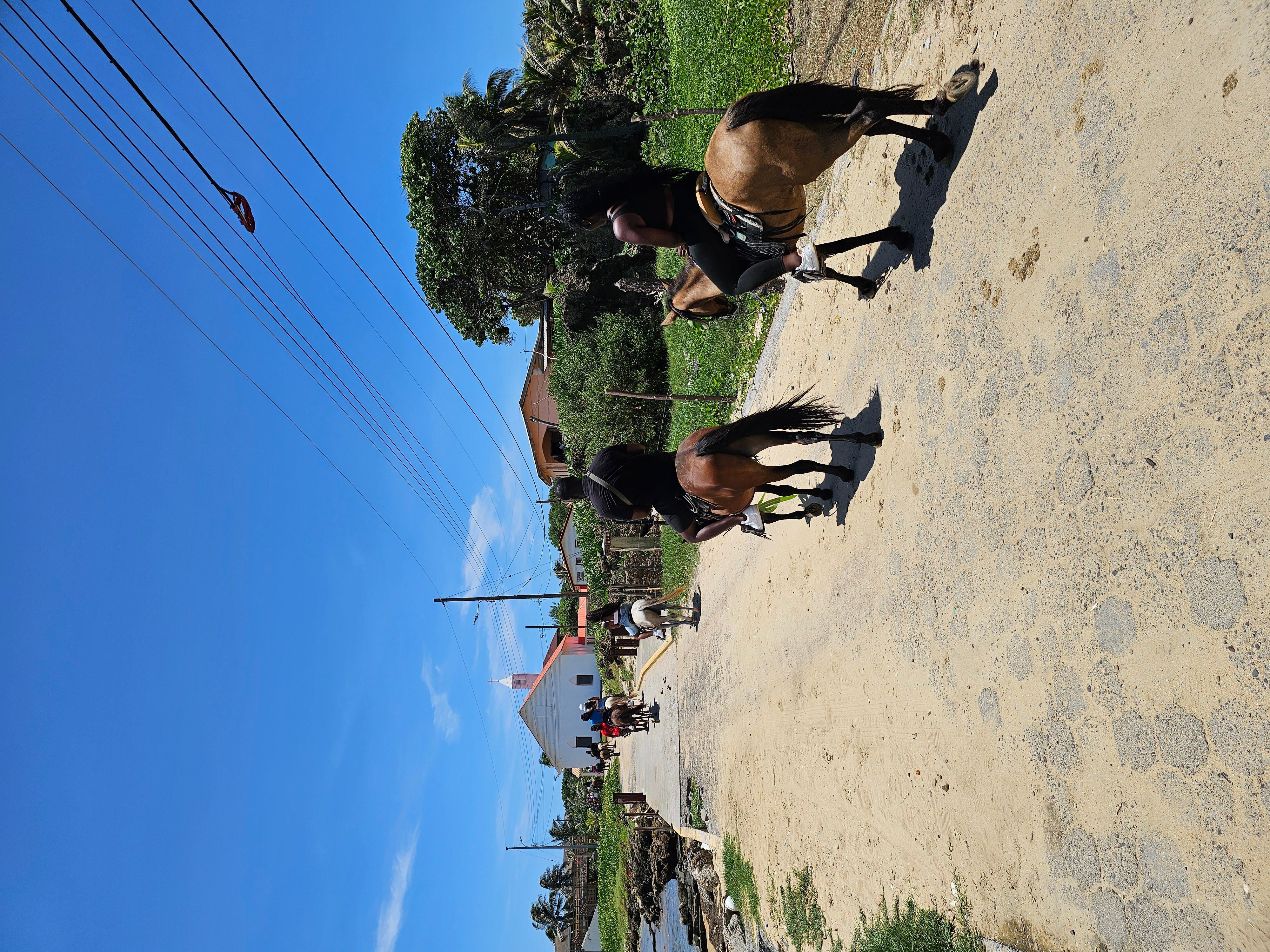 Horseback Ride Shore Excursion and Glass bottom boat Tour – Honduras