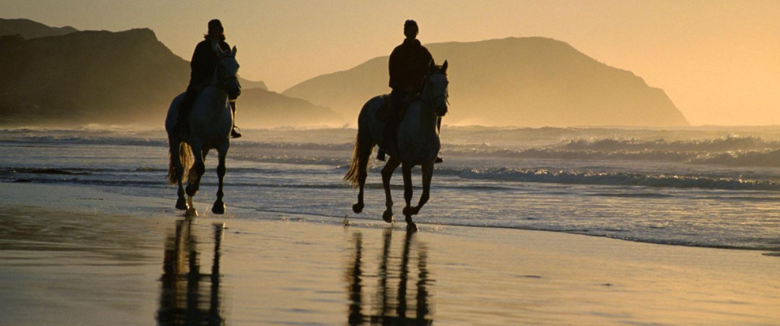 Horseback Riding Tours also in Costa Rica – Liberia, Costa Rica