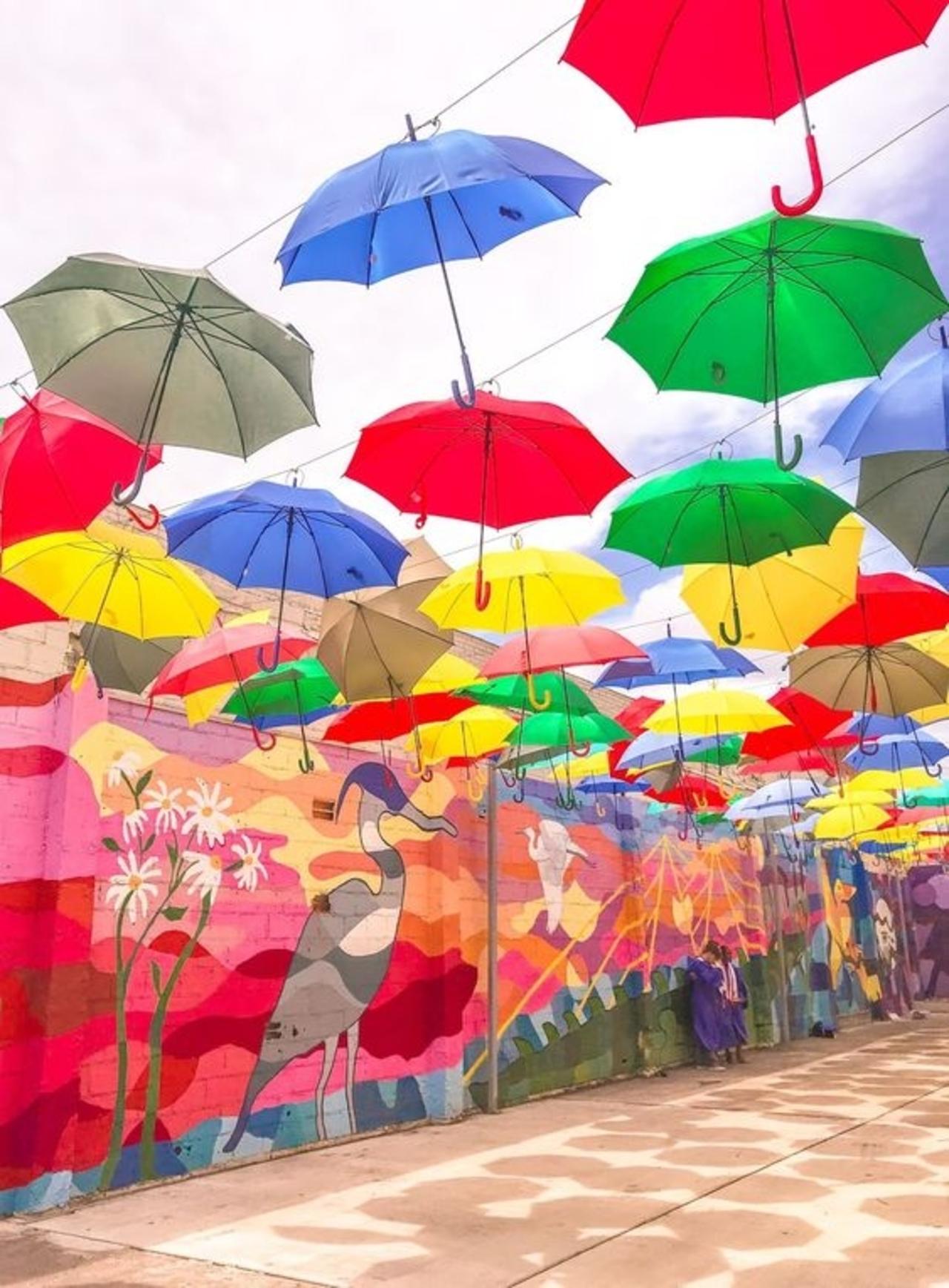 Houston : Best Street Food Tour With A Local Guide – Houston, Texas