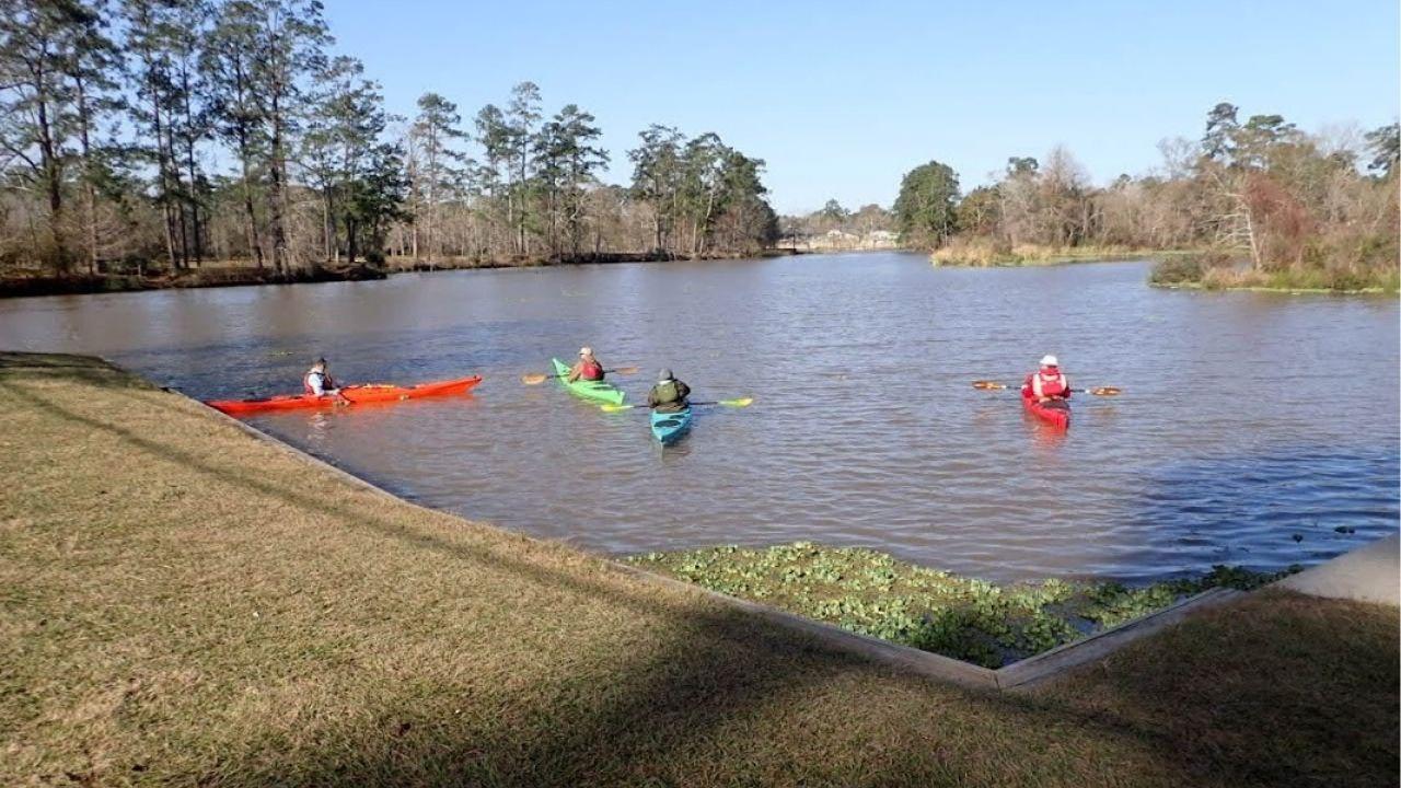Houston: Luce Bayou Kayaking Tour – Houston, Texas
