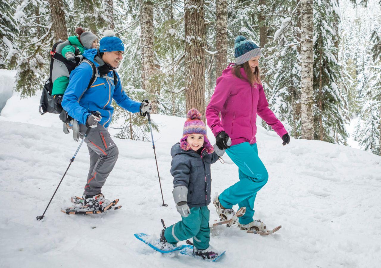 Hudiksvall: Snowshoe Walk with Guide and Hot Drink – Hudiksvall, Sweden