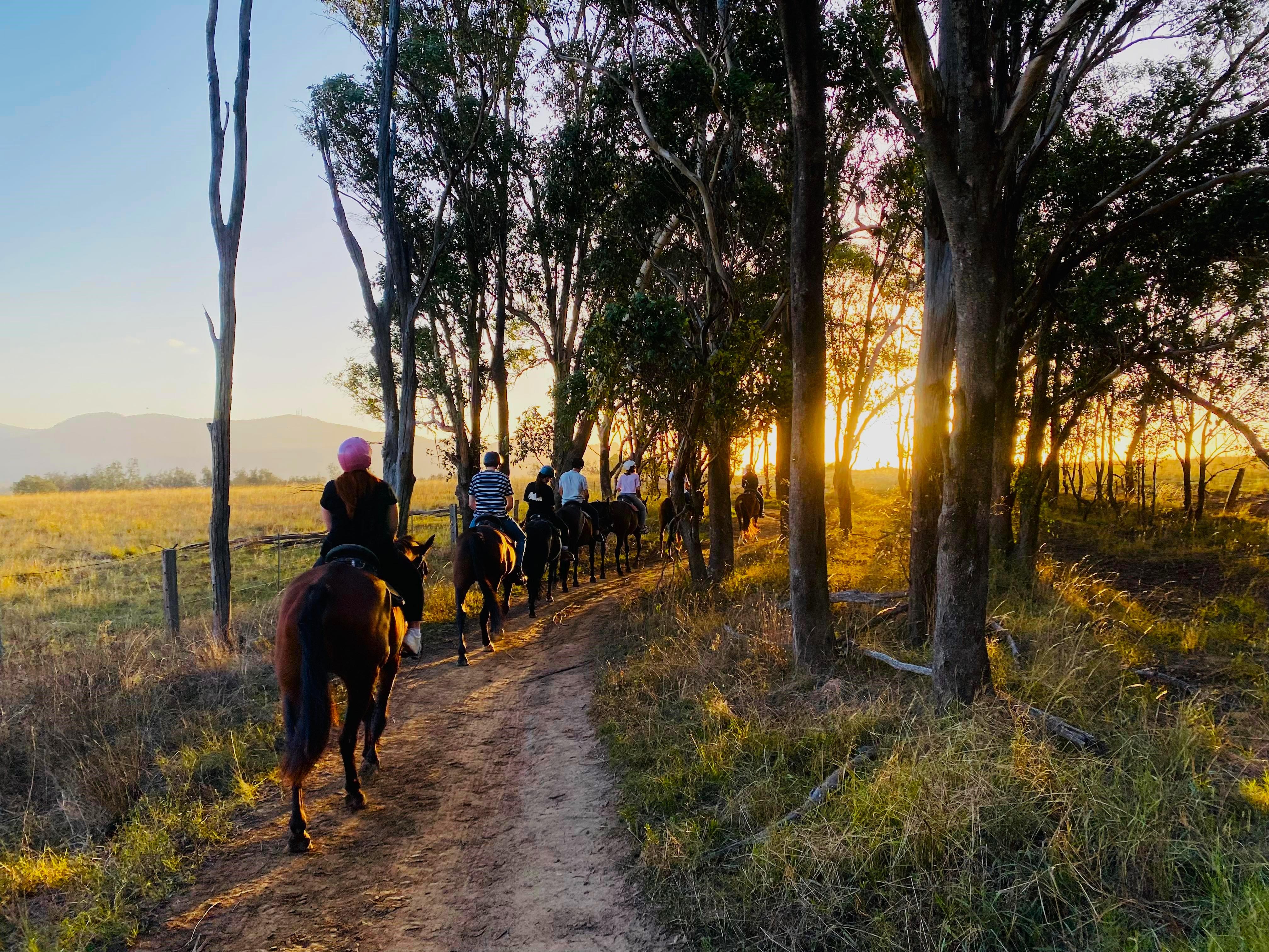 Hunter Valley: Sunset Horse Riding Tour 90min – Pokolbin, Australia
