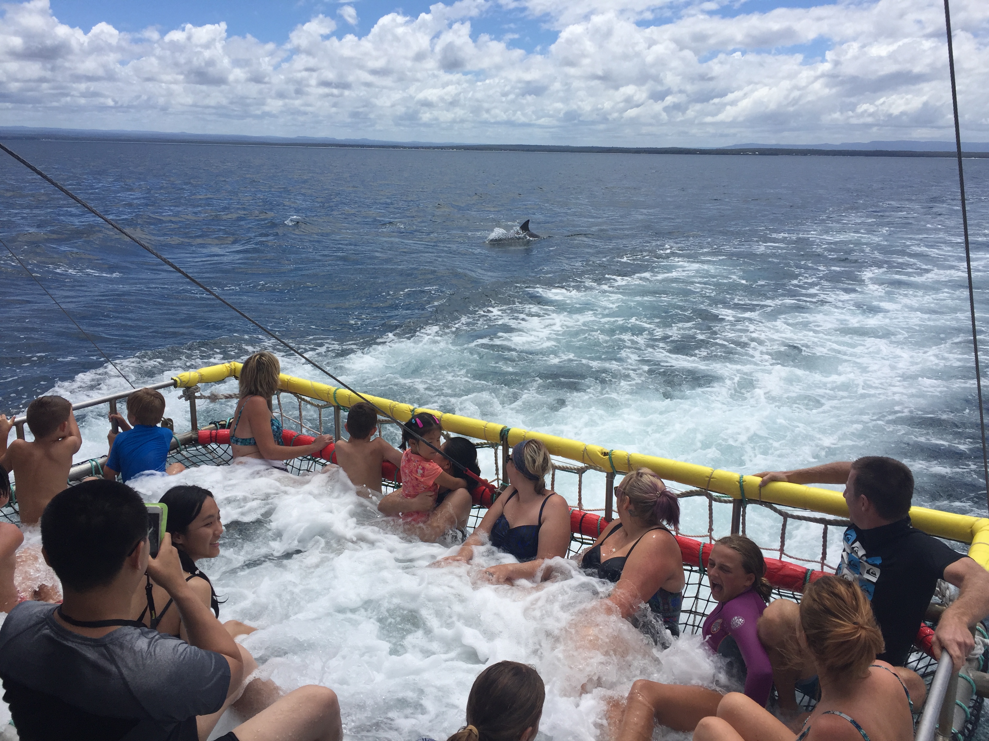 Huskisson: Dolphin Cruise & Boom Netting Experience – Jervis Bay, Australia