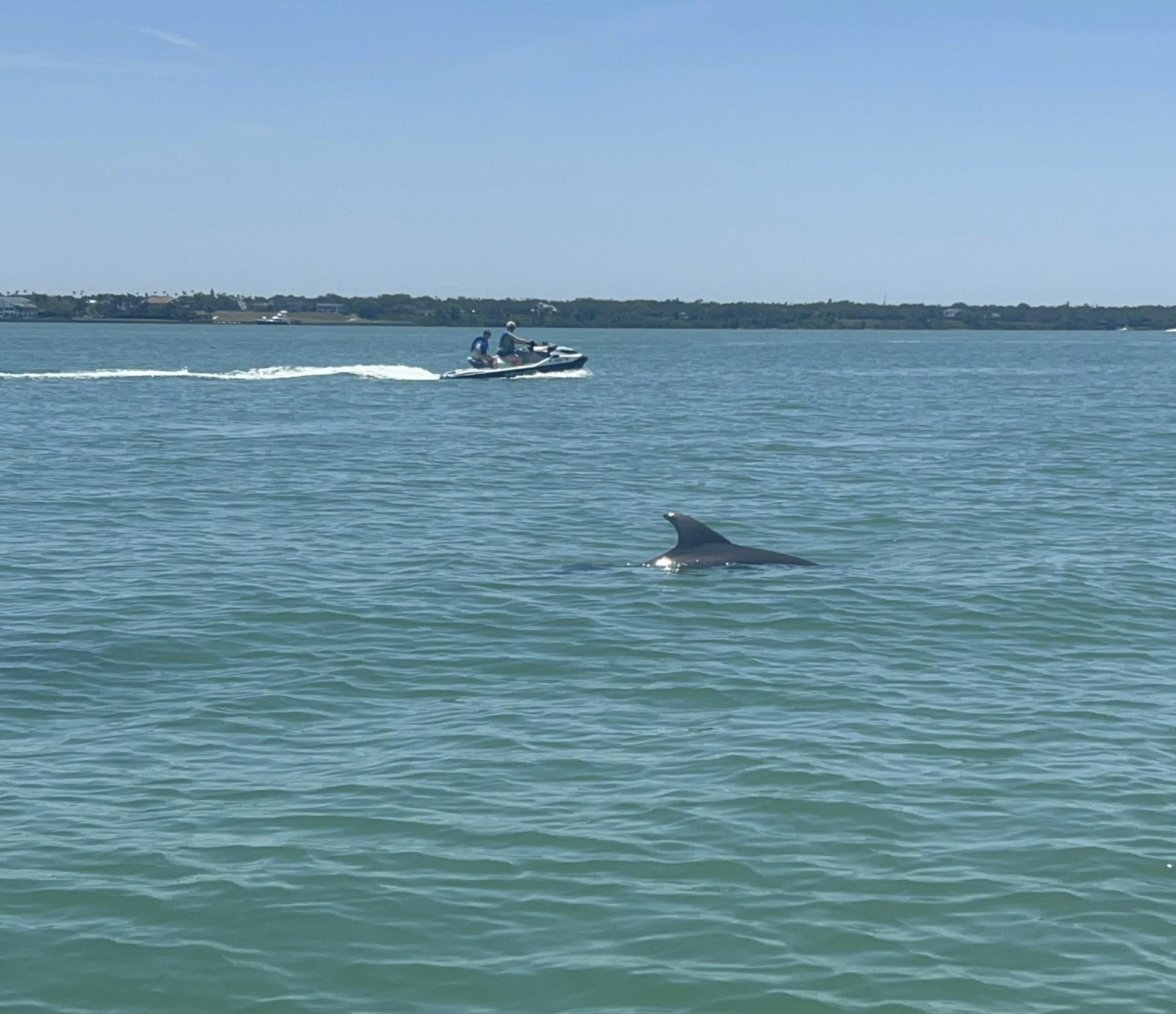 Indian Rocks Beach: Guided Jet Ski Adventure – Clearwater, Florida
