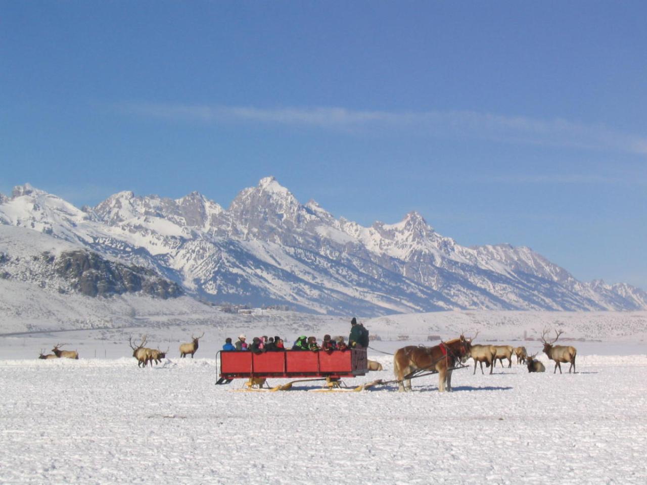 Jackson Hole: National Elk Refuge Sleigh Ride – Jackson, Wyoming
