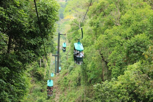 Jaco Beach: Aerial Tram Rainforest Half-Day Tour – Jaco, Costa Rica