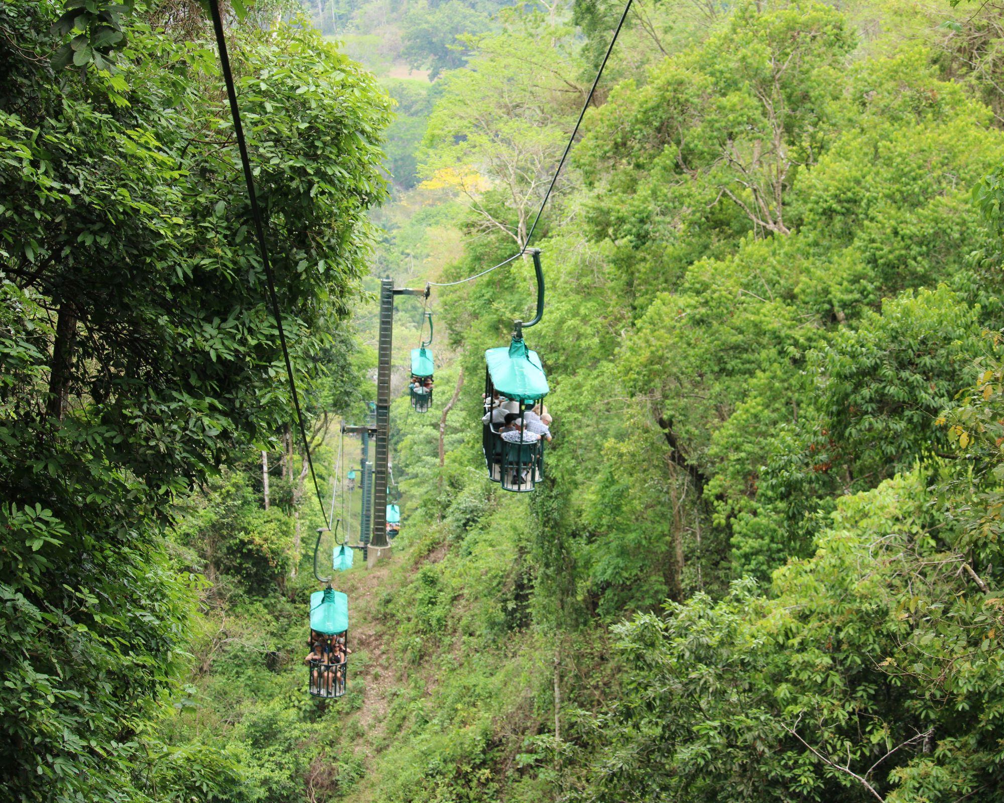 Jaco Beach: Aerial Tram Rainforest Half-Day Tour – Jaco, Costa Rica