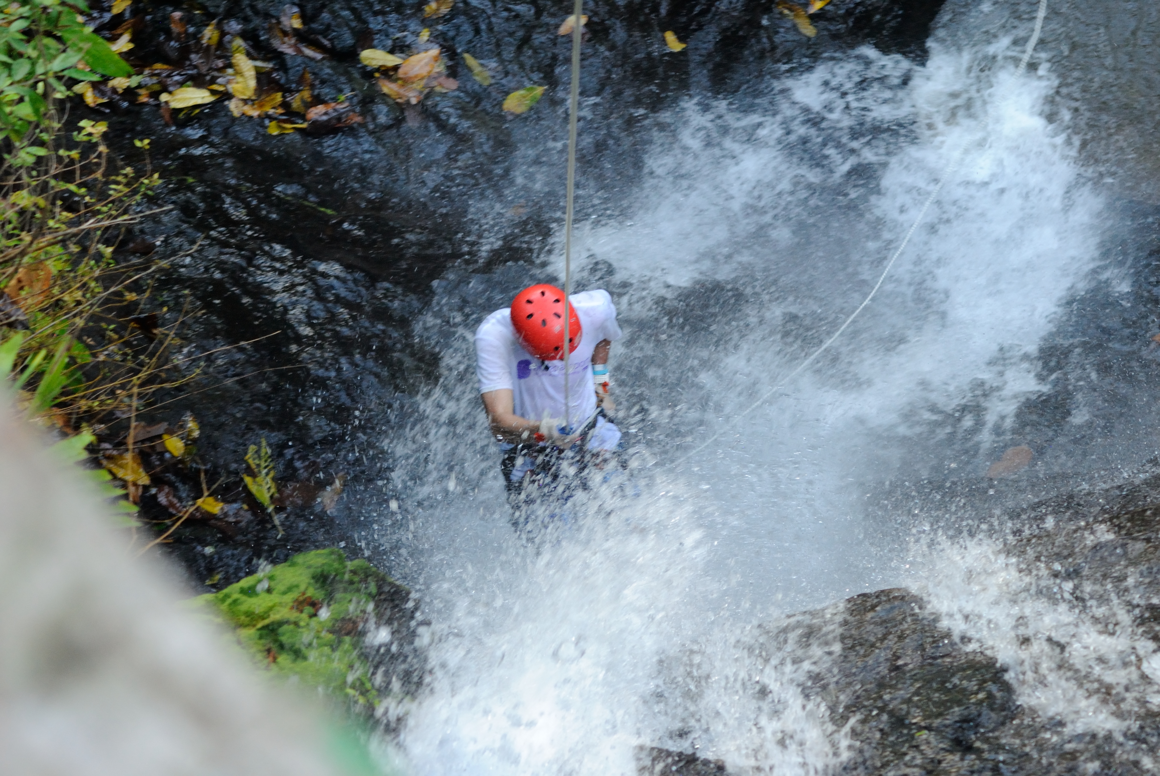 Jaco: Canyoning and Canopy Tour – Jaco, Costa Rica