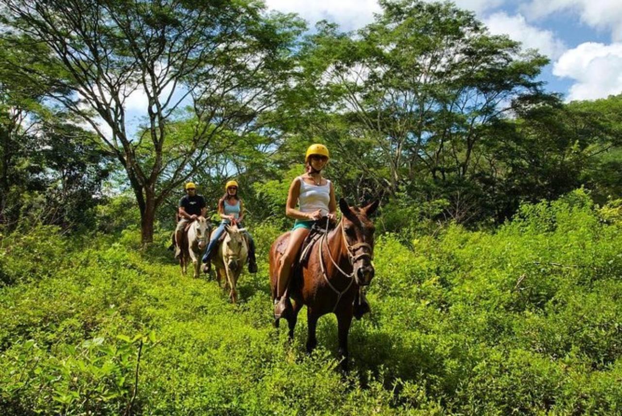 Jaco: Rainforest Horseback Ride to El Encanto Waterfall – Jaco, Costa Rica