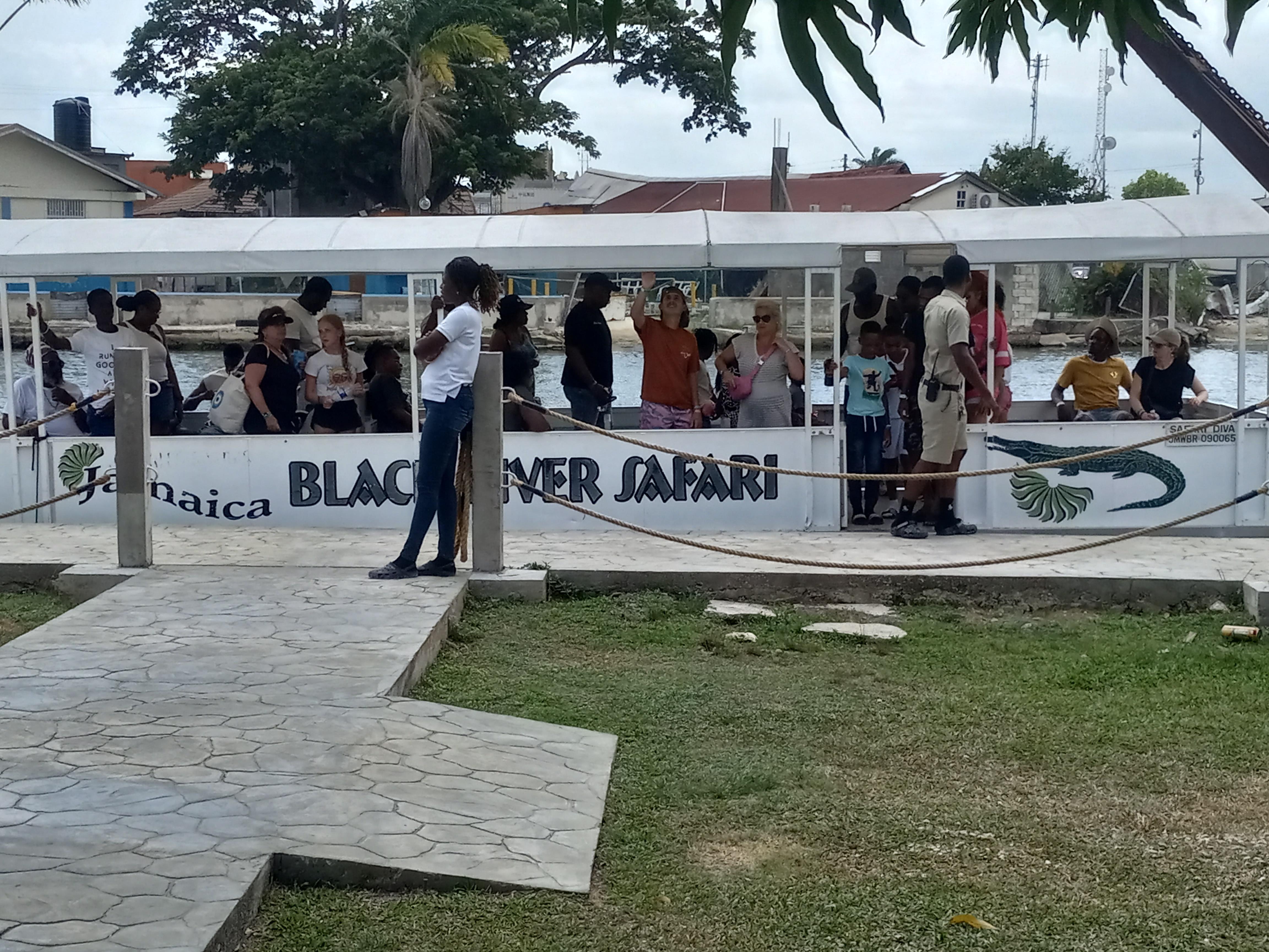 Jamaica: Black River Safari Guided Tour and YS Falls Tour – YS Falls, Jamaica