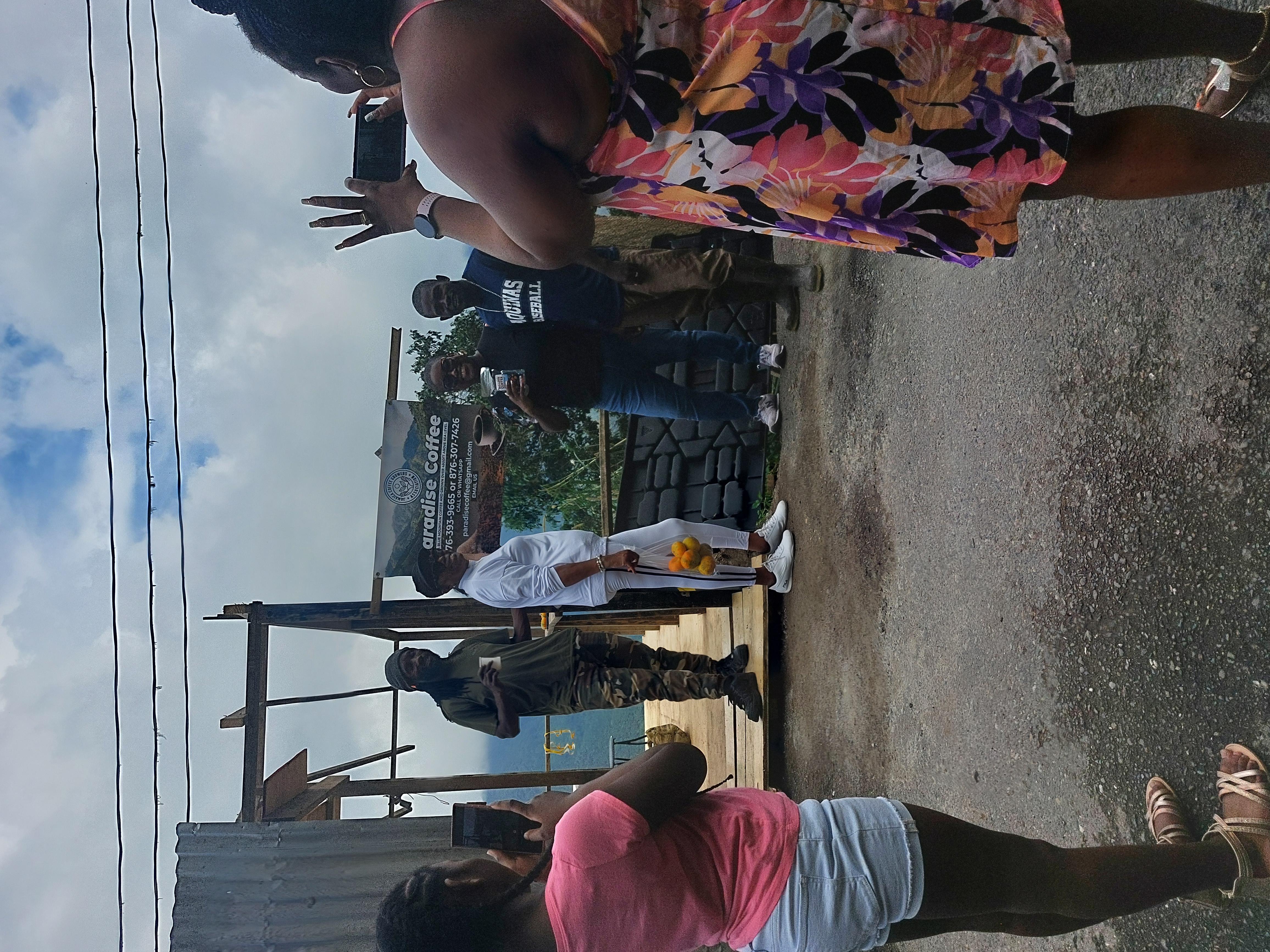 Jamaica Blue Mountains: Coffee tasting and nature adventure – Blue Mountains, Jamaica