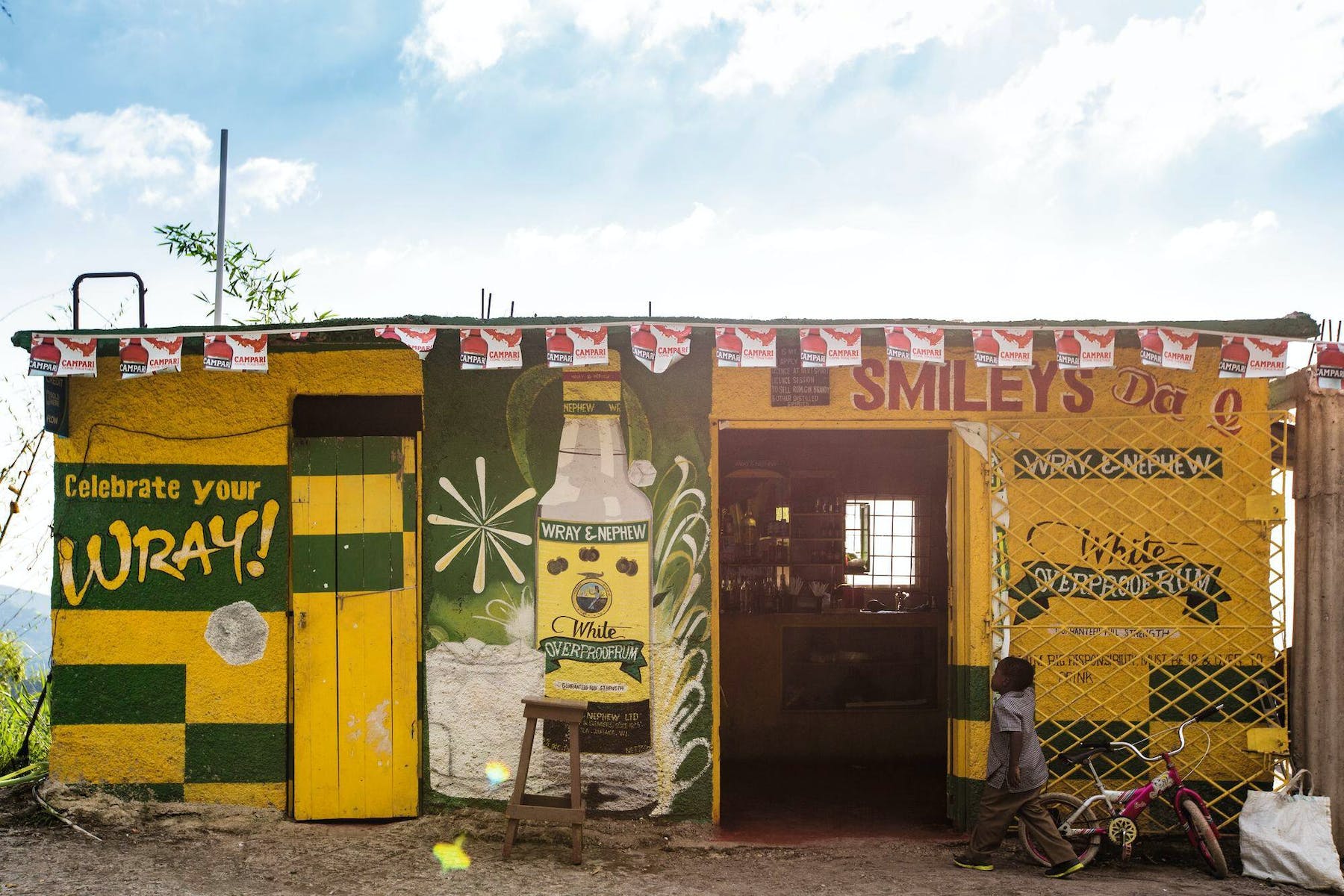 Jamaica: Blue Mountains Full Day Tour with Brunch & Lunch – Blue Mountains, Jamaica