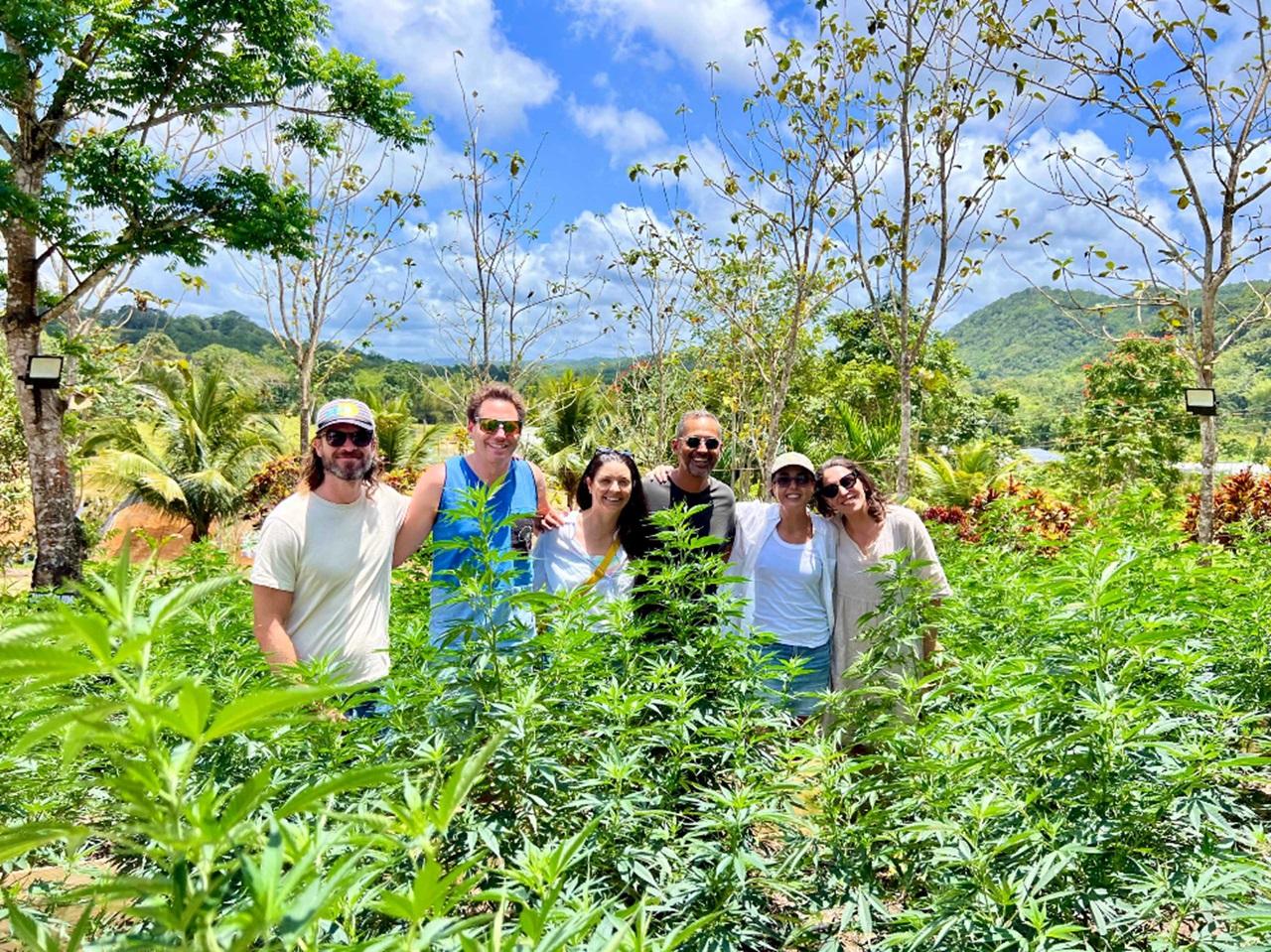 Jamaica: Cannabis Farm Tour with Lunch and Transfers – Jacana Farm, Jamaica