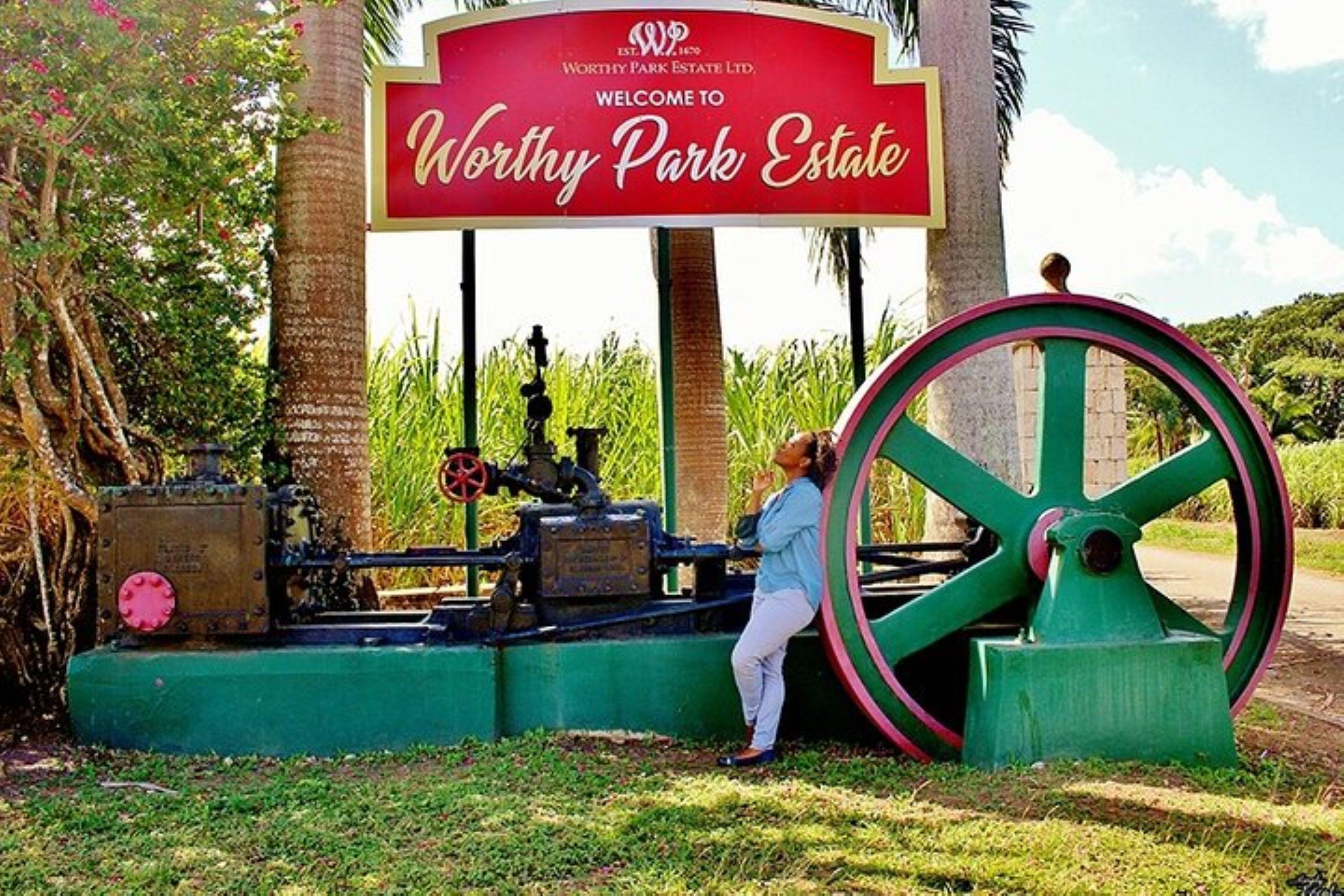 Jamaica: Worthy Park Rum Estate Tour – Worthy Park Estate, Jamaica