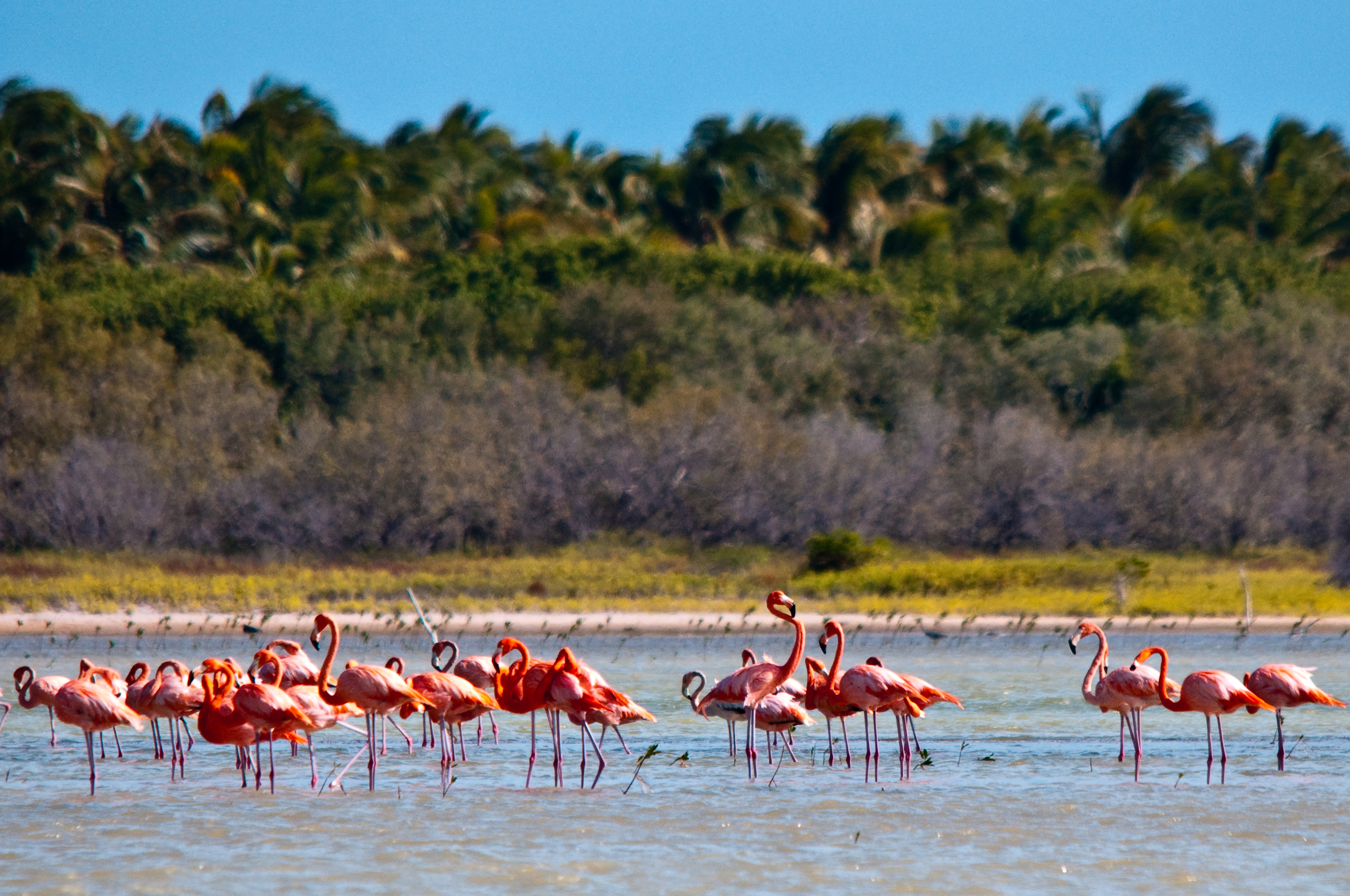 Jaragua National Park: Explore Laguna de Oviedo – Jaragua National Park, Dominican Republic