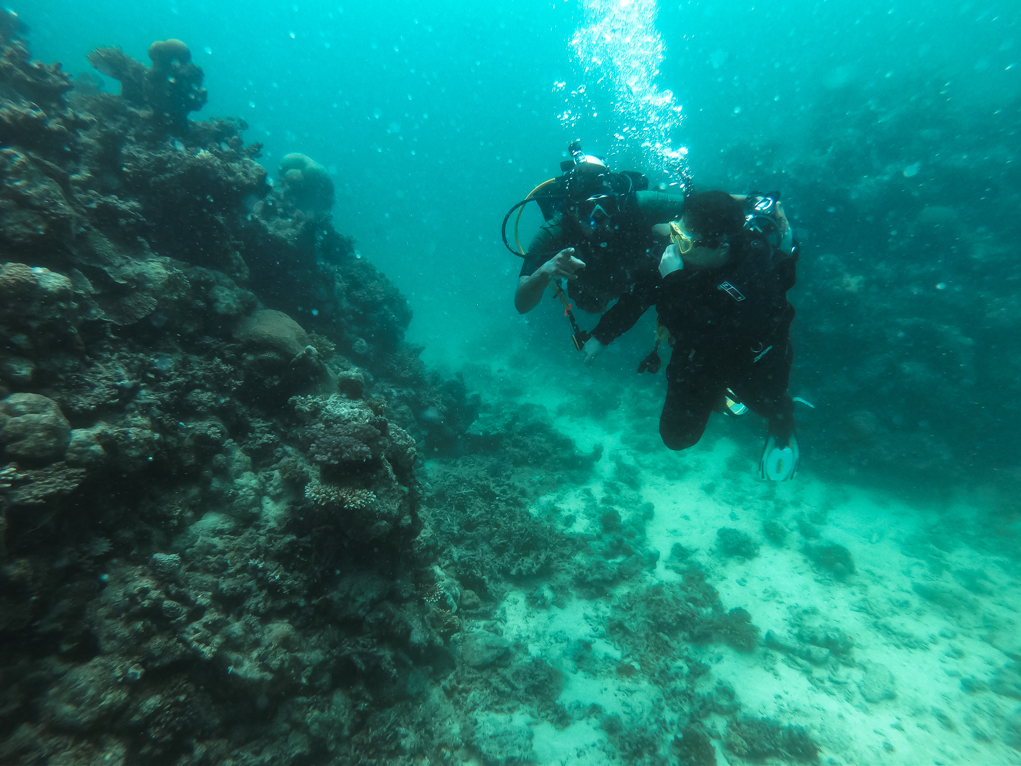 Jeddah: Red sea shore diving (Discovery) – Saudi Arabia