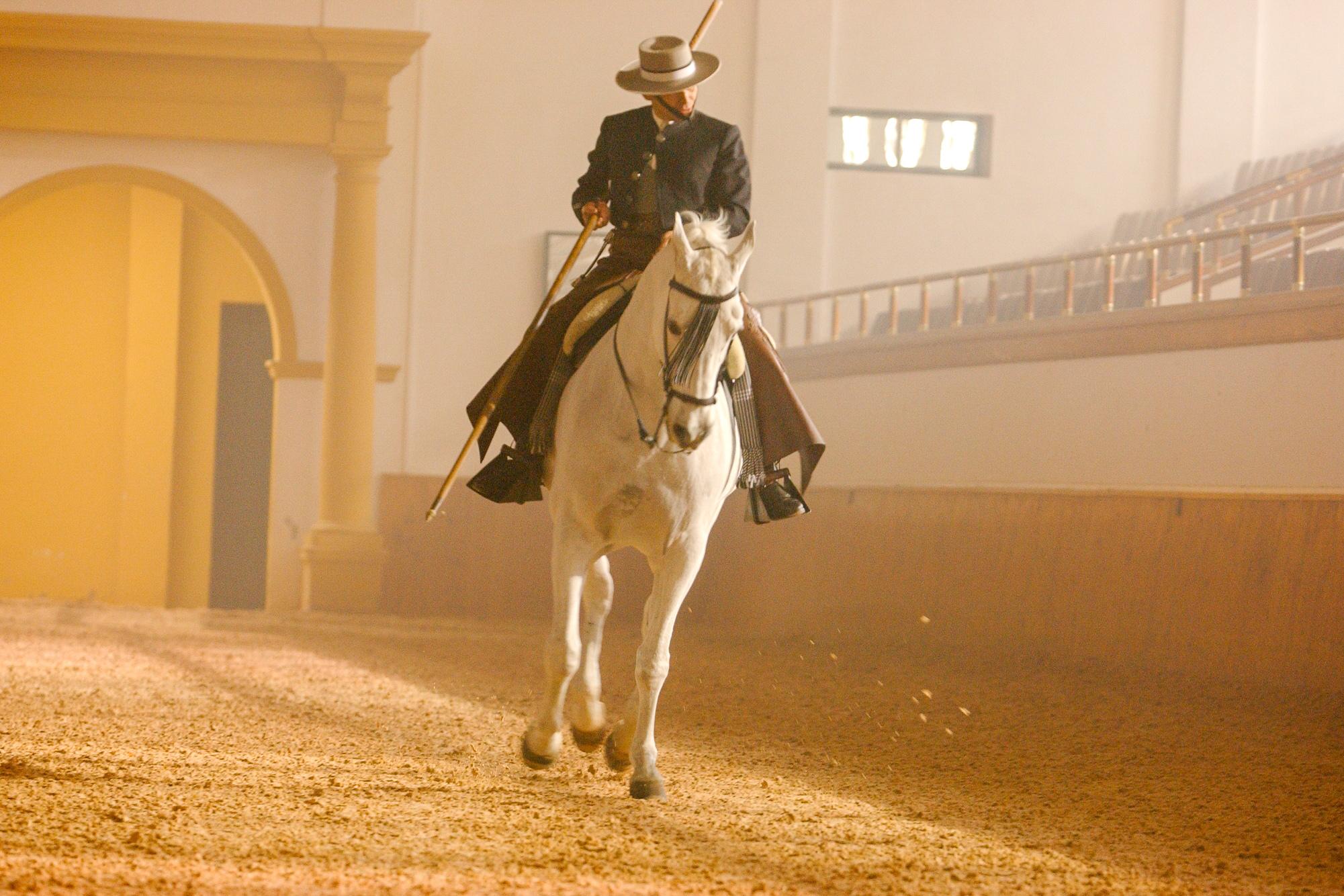 Jerez de la Frontera: How the Andalusian Horses Dance – Jerez de la Frontera, Spain