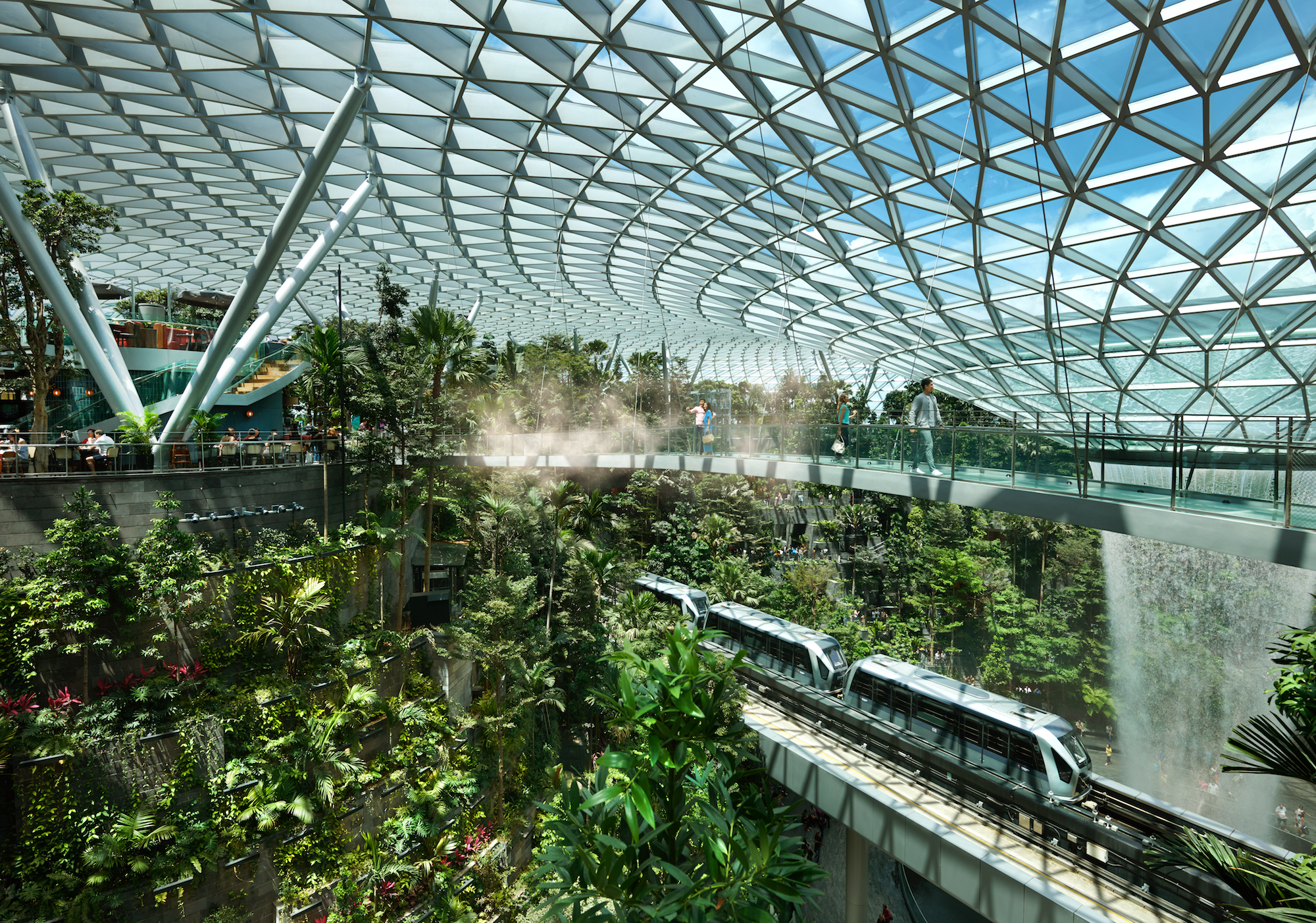 Jewel Changi Airport: Mastercard® Canopy Bridge Admission – Singapore