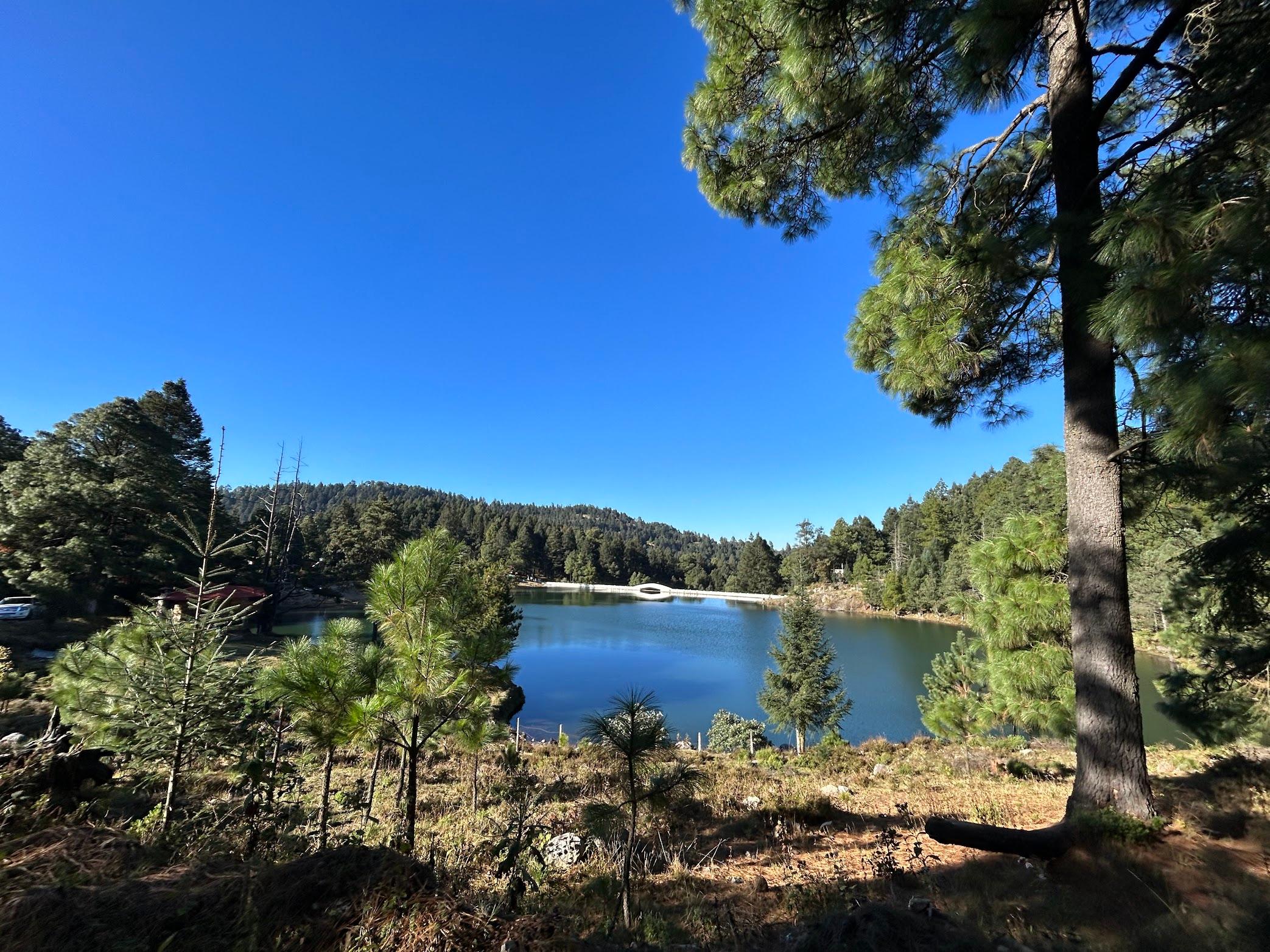 Jilotzingo: Forest Bathing and Temazcal Healing Experience – Central Mexico, Mexico