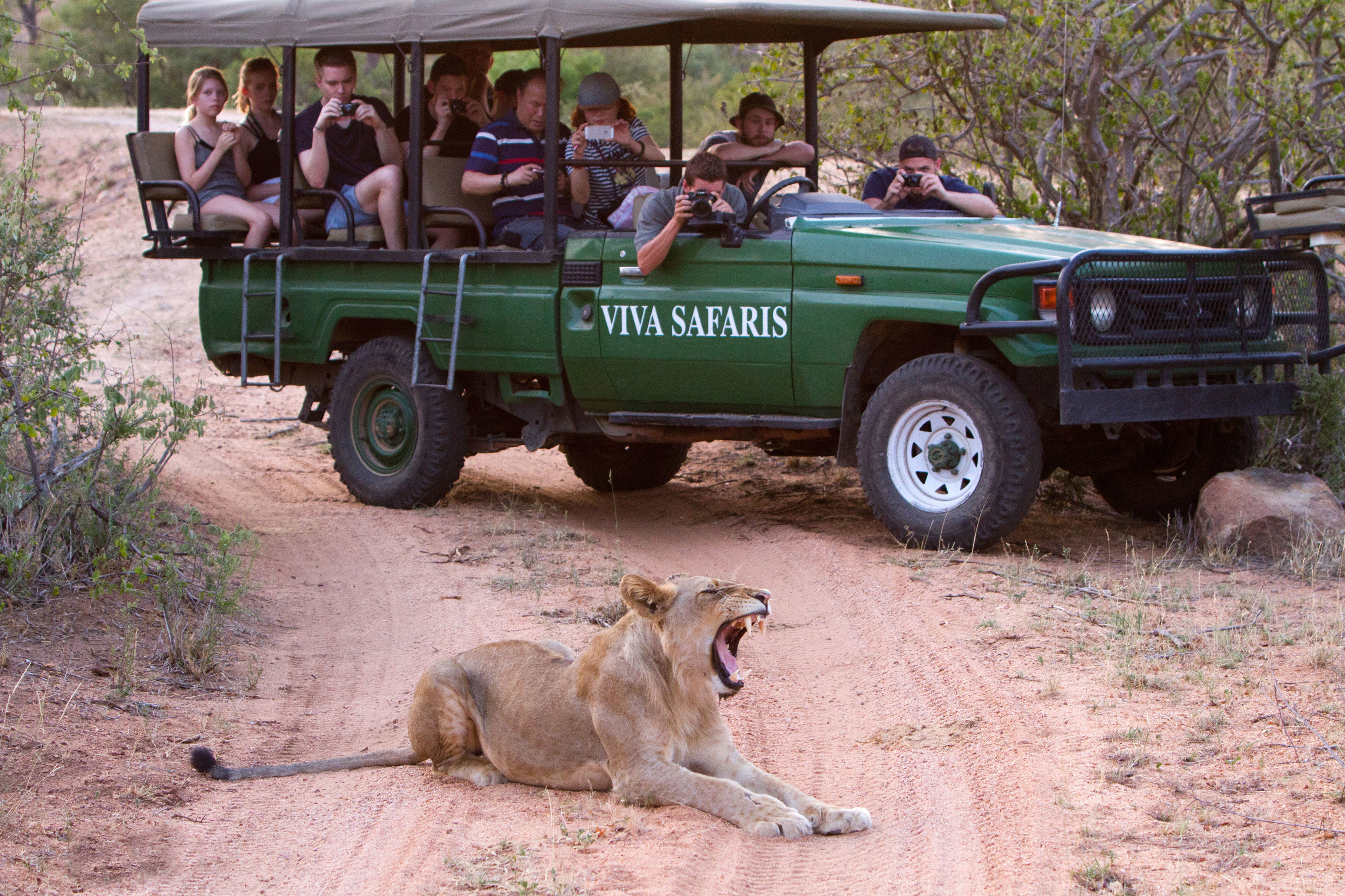 Johannesburg: 3-Day Classic Kruger National Park Safari Tour – Johannesburg, South Africa