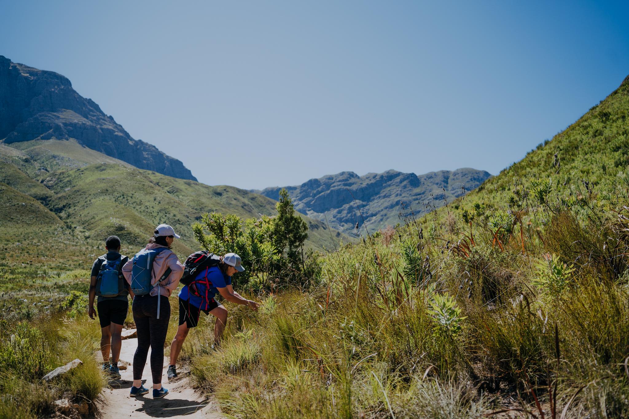 Jonkershoek: Waterfall Hike and 4×4 Safari Ride – Stellenbosch, South Africa