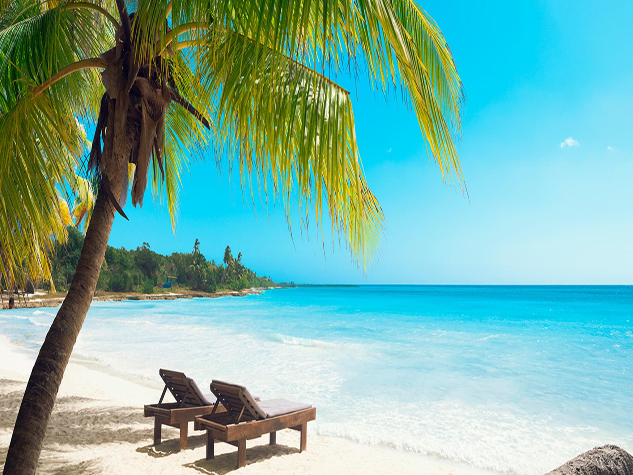 Juan Dolio: Saona Island Full-Day Tour with Lunch and Drinks – Juan Dolio, Dominican Republic