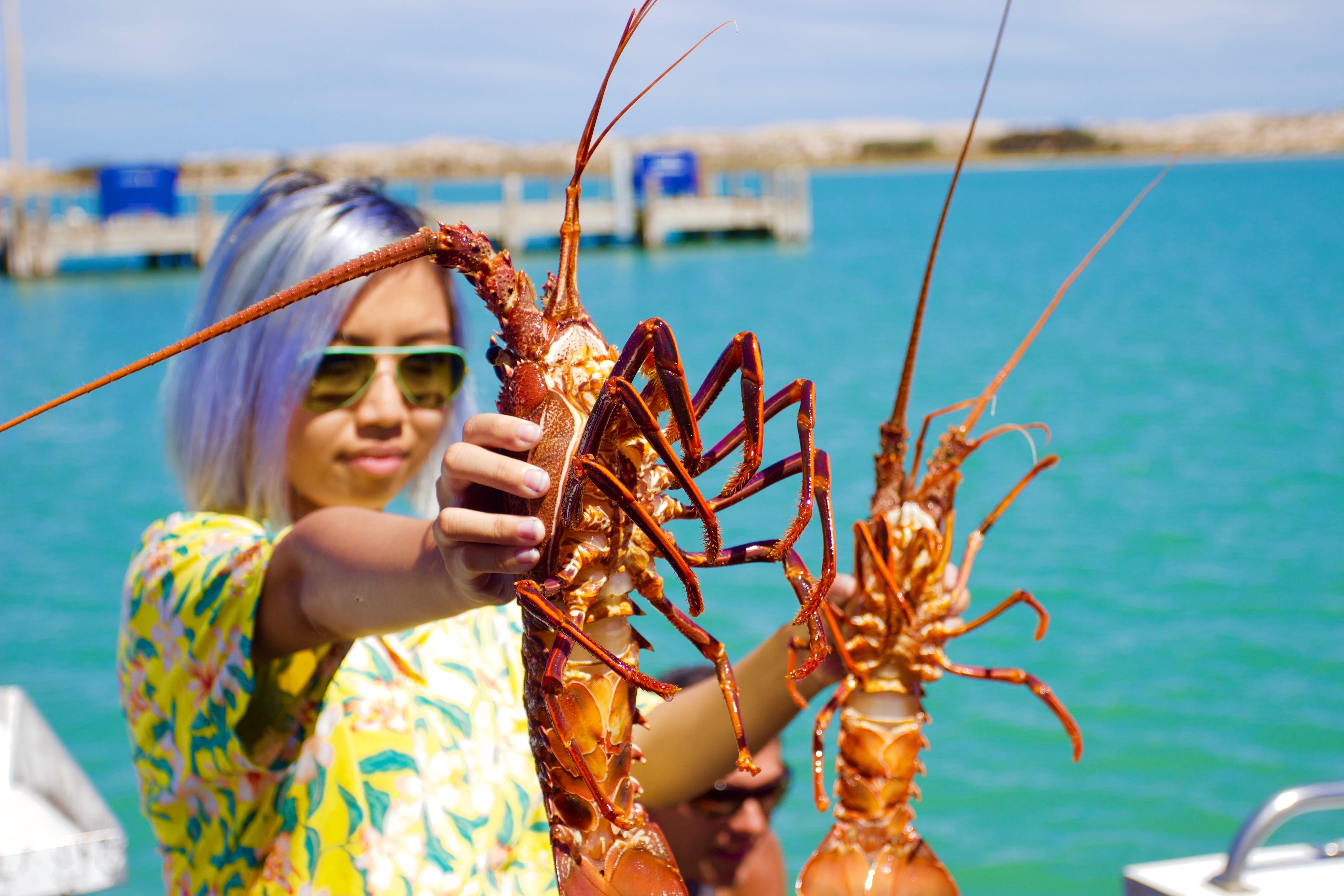 Kalbarri Crayfish Catch & Keep Tour – Kalbarri, Australia