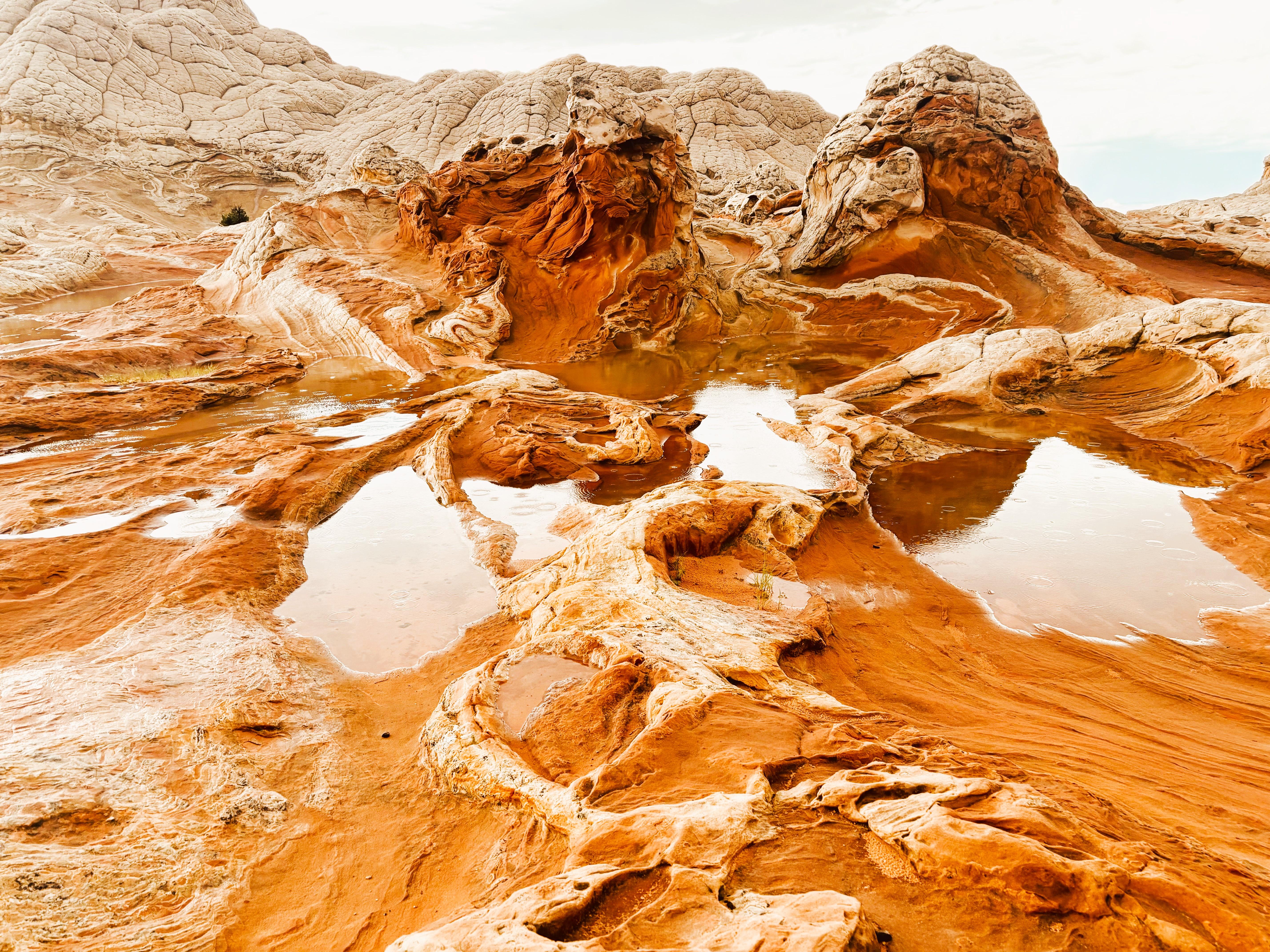 Kanab: White Pocket Rock Formation Small Group Tour – Vermilion Cliffs National Monument, Arizona