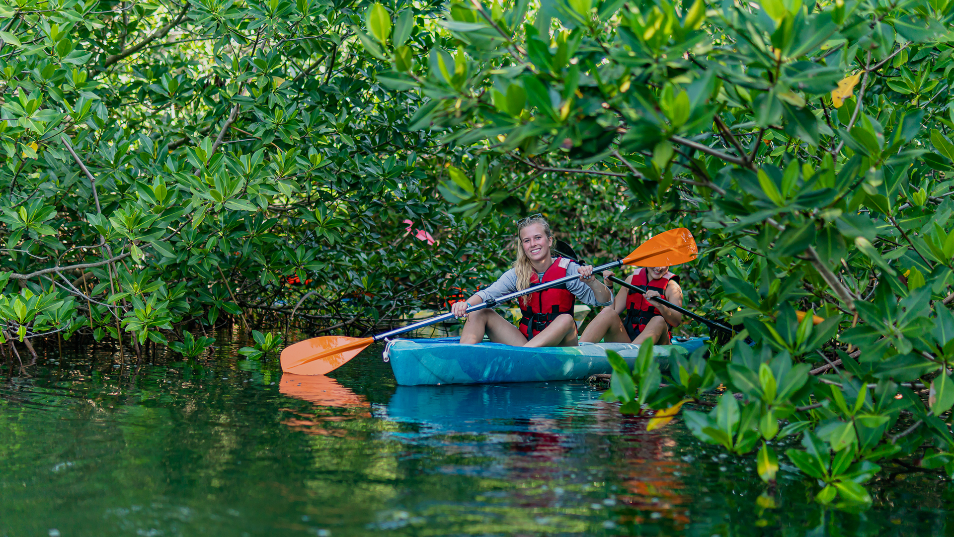 Kayak Tour in Cancun with Photos included – Cancun, Mexico