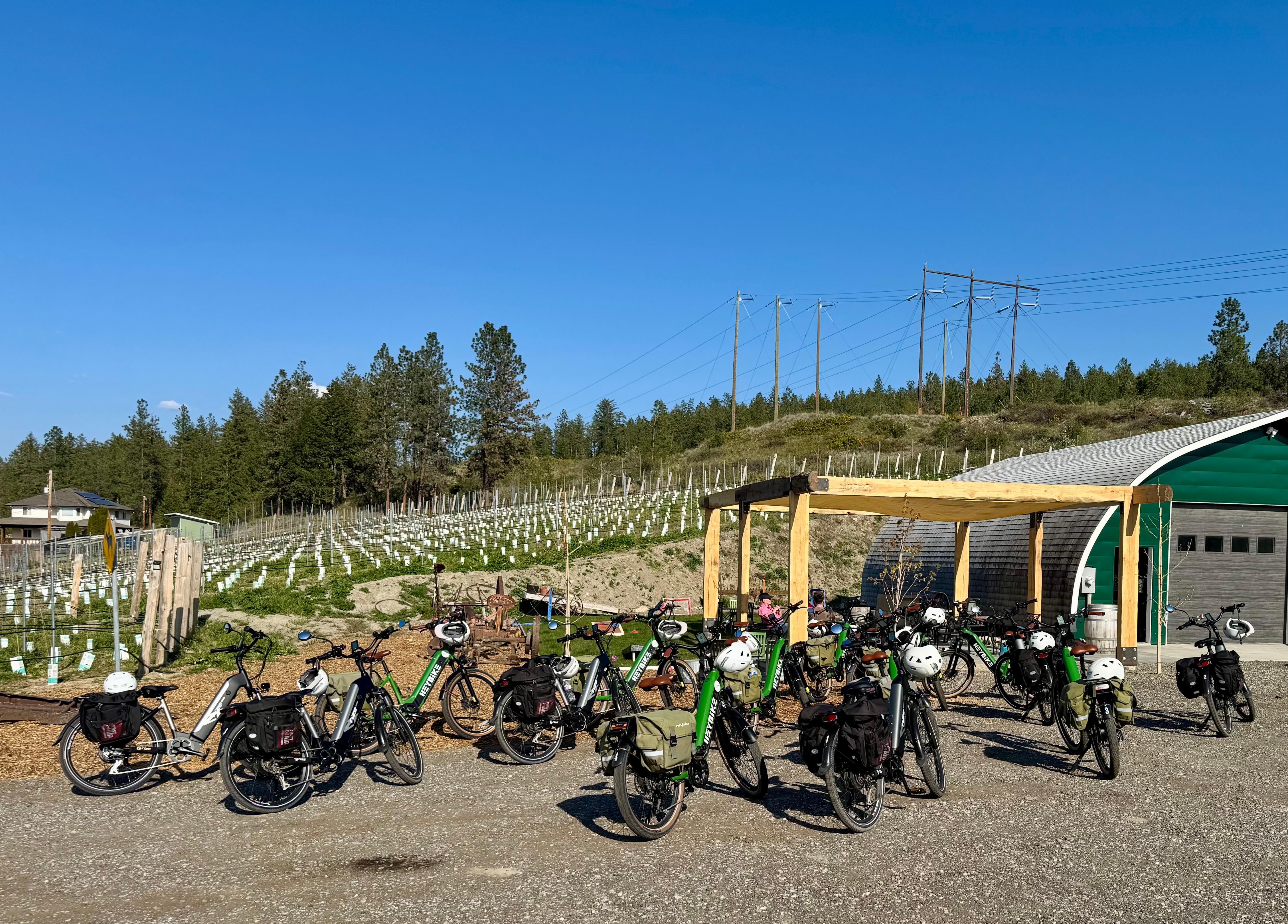 Kelowna: Wine Tasting by E-bike, Smartphone Guide & Lunch – Kelowna, Canada