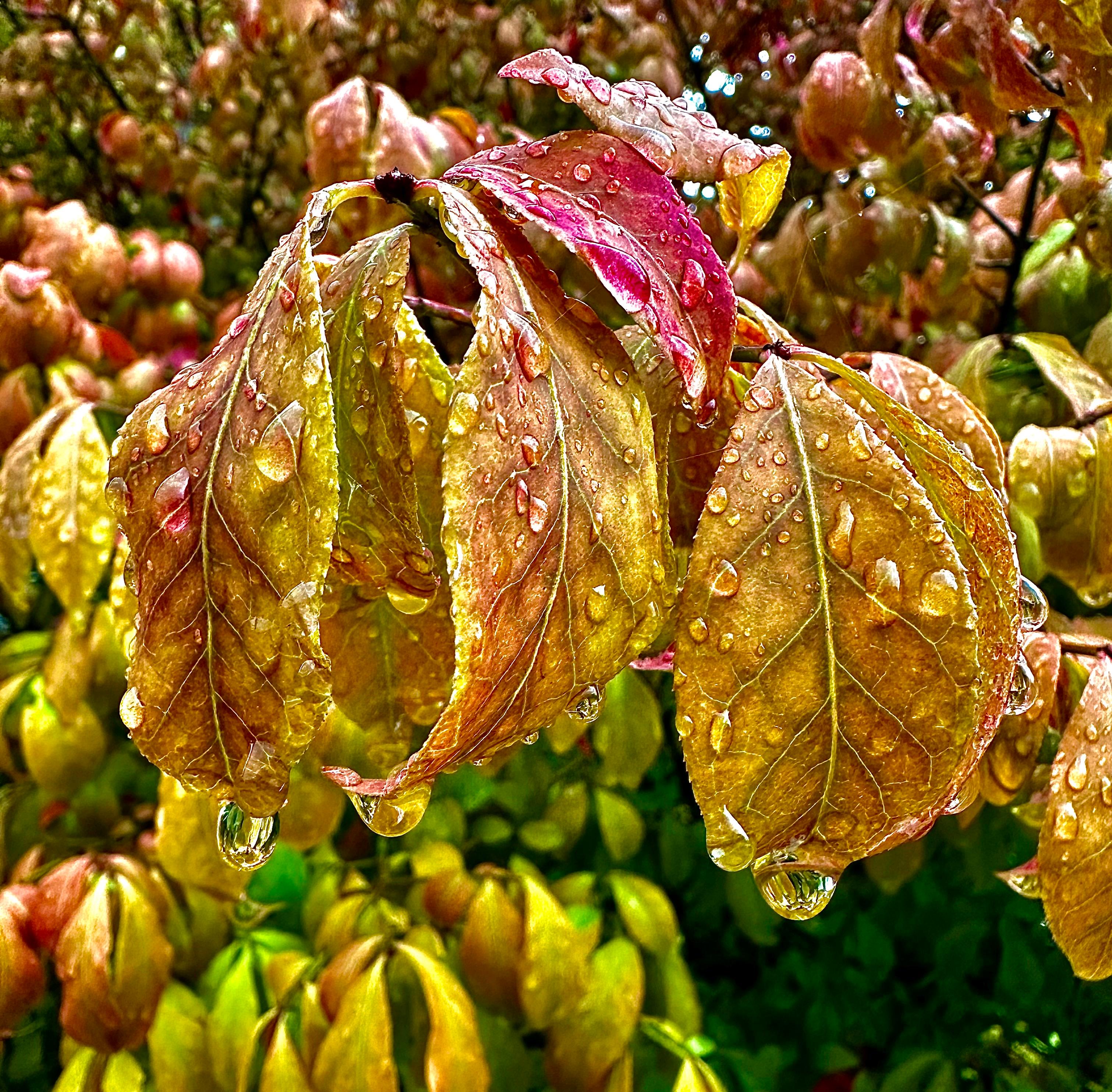 Ketchikan Photo Safari – Ketchikan, Alaska