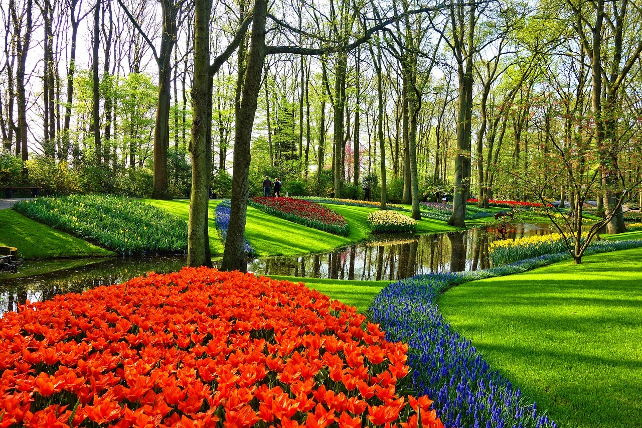 Keukenhof Gardens and Tulip Experience Tour from Amsterdam – Noordwijkerhout, Netherlands