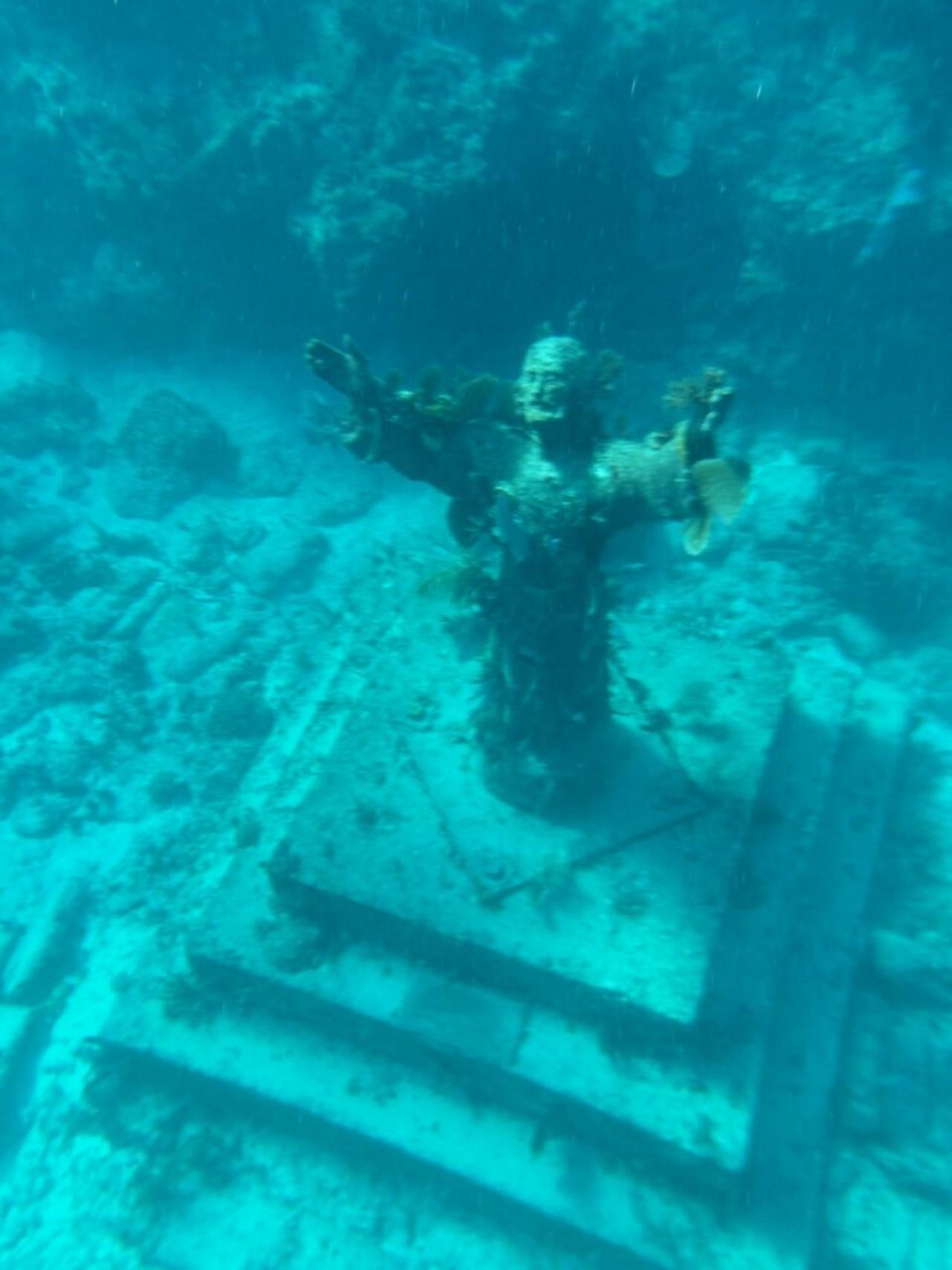 Key Largo: Snorkeling Trip – Key Largo, Florida