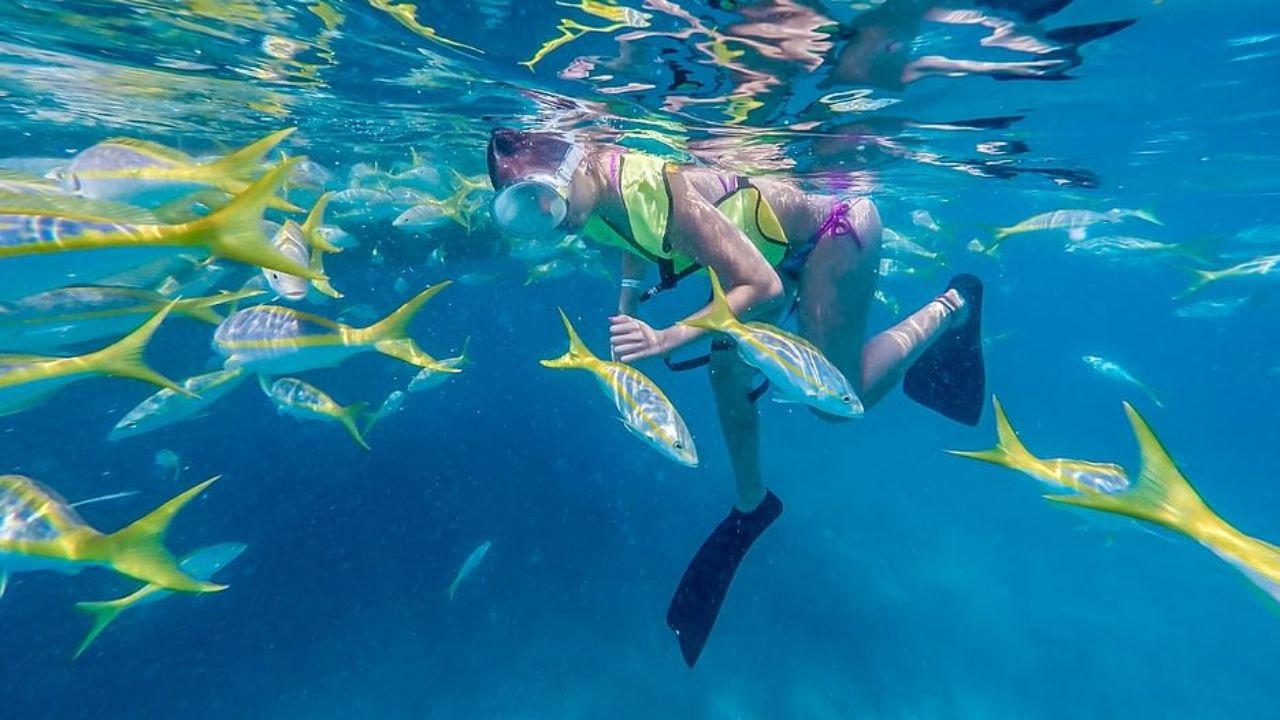 Key West: Afternoon Reef Snorkel Tour with Open Bar – Key West, Florida