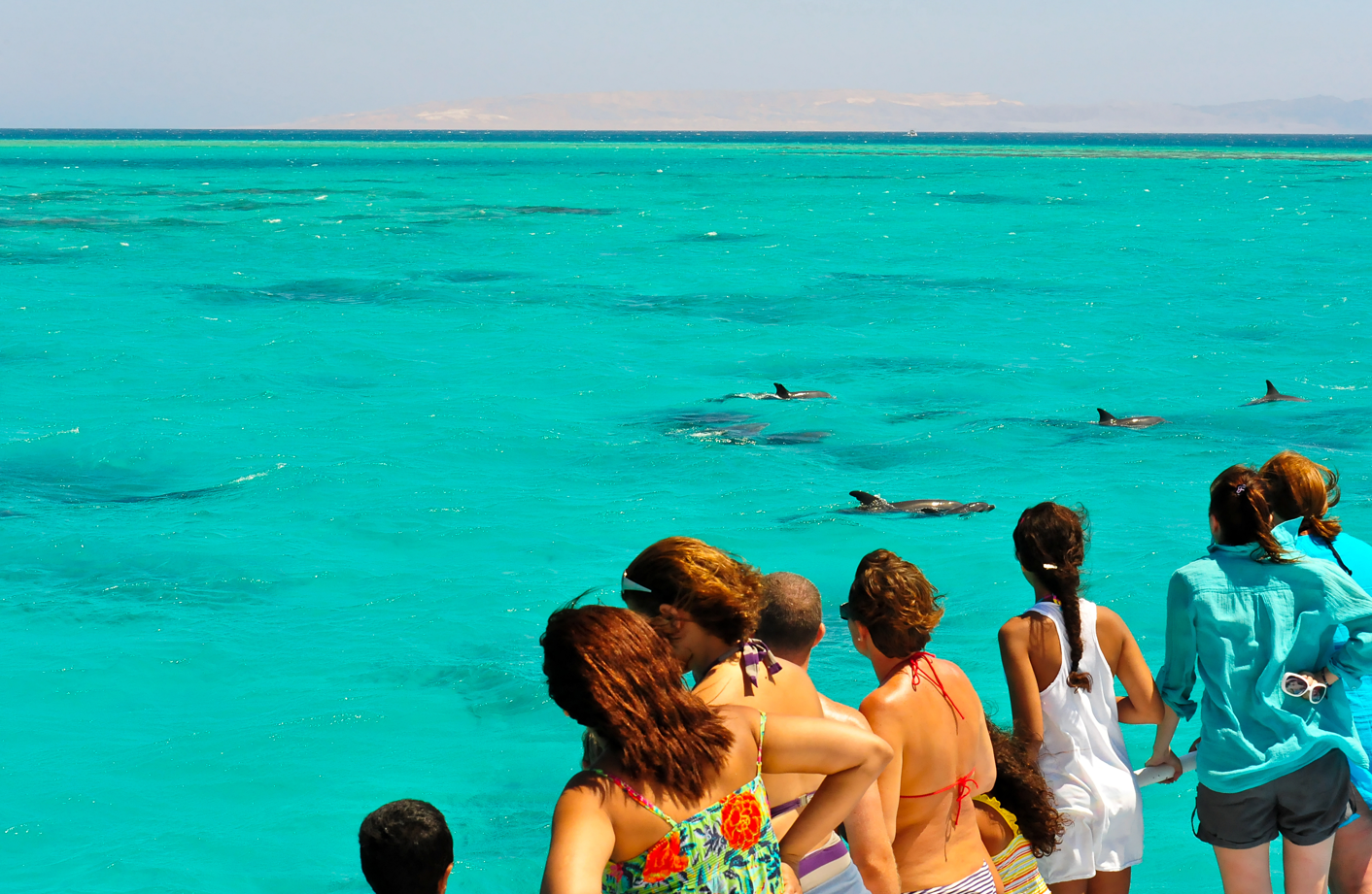 Key West: Dolphin & Reef Snorkel Trip with Sunset Option – Key West National Wildlife Refuge, North Atlantic Coast