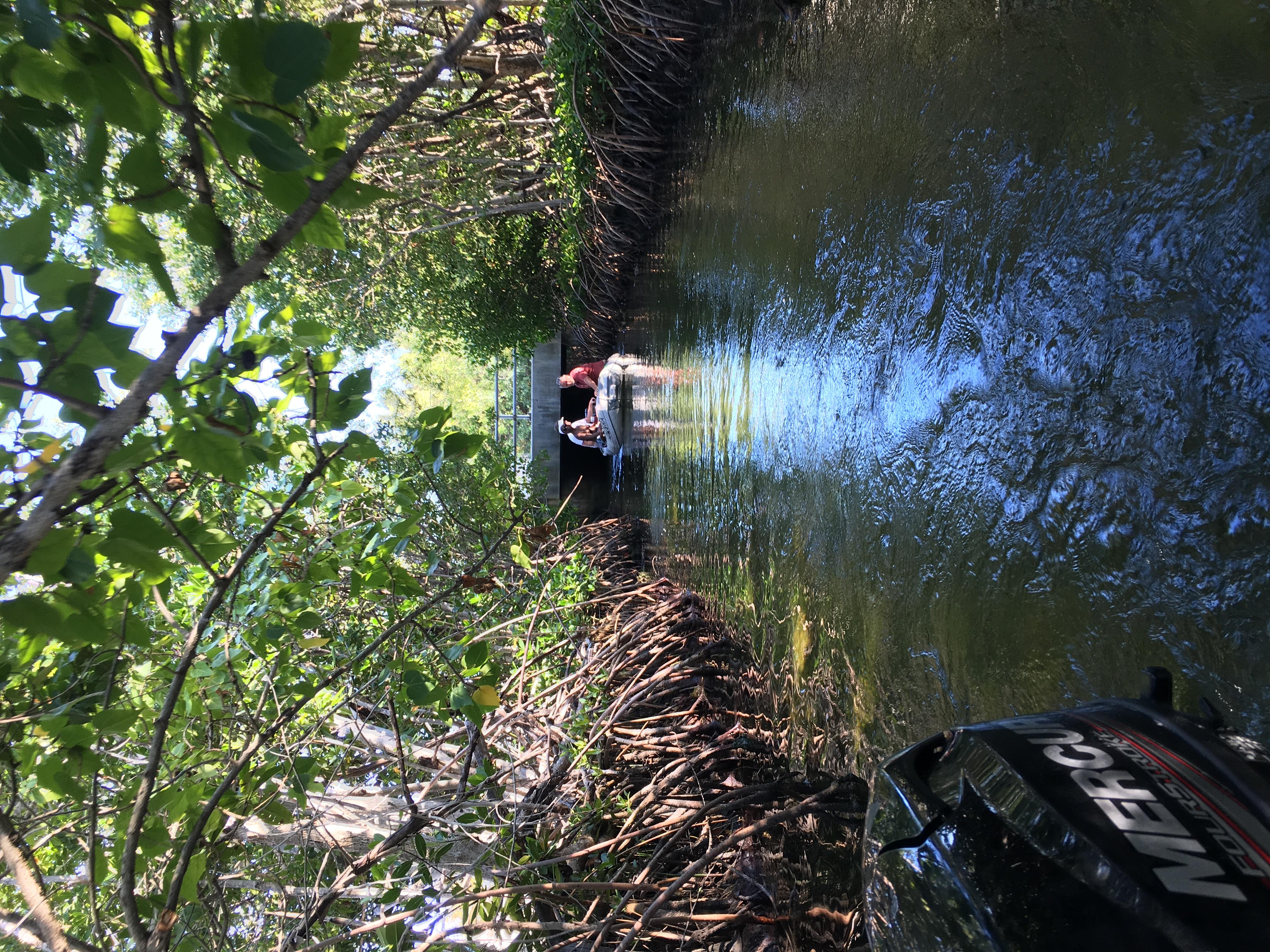 Key West: Mangroves & Bars Motorboat Tour – Key West, Florida