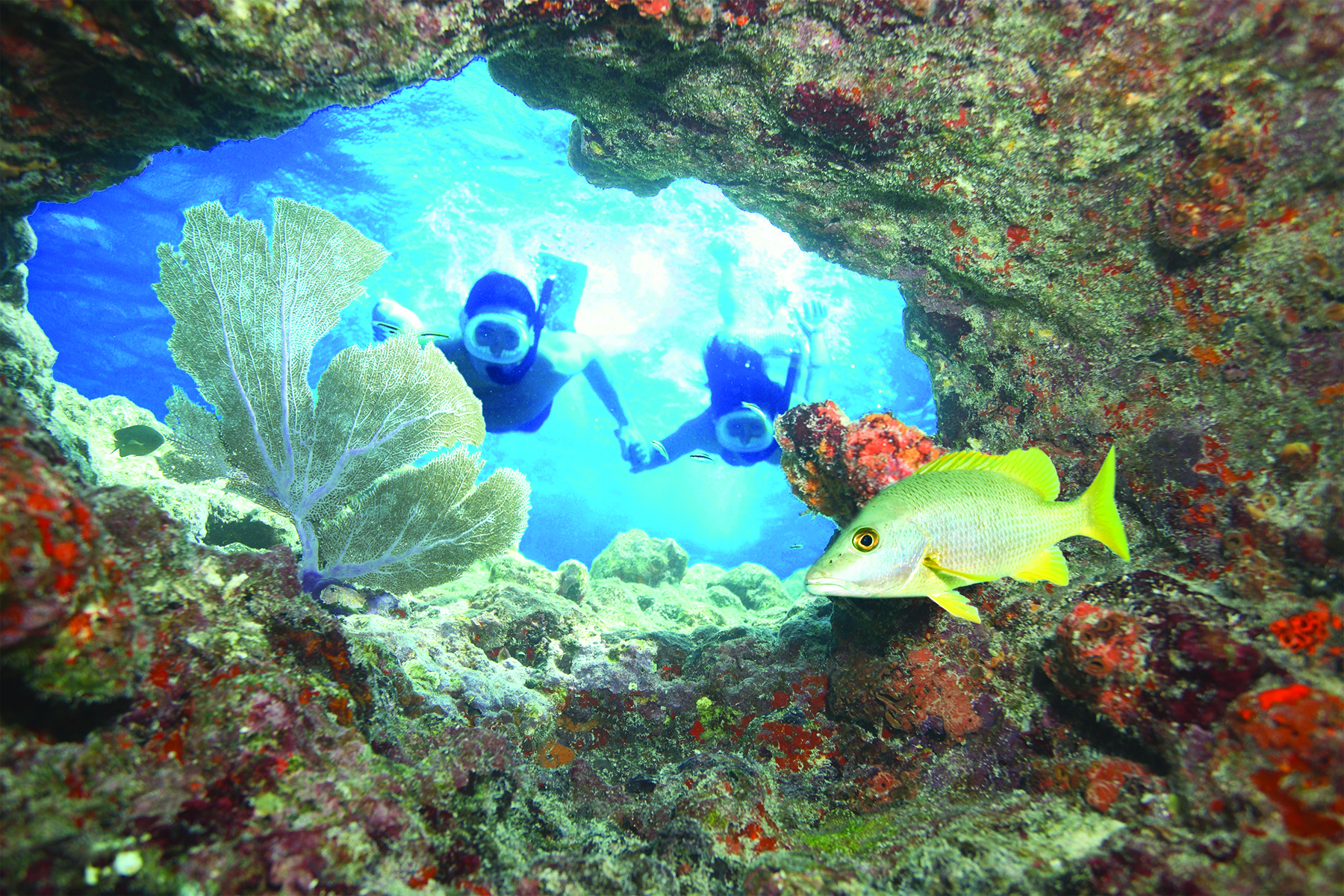 Key West: Reef Snorkeling with Drinks and Sunset Option – Key West, Florida