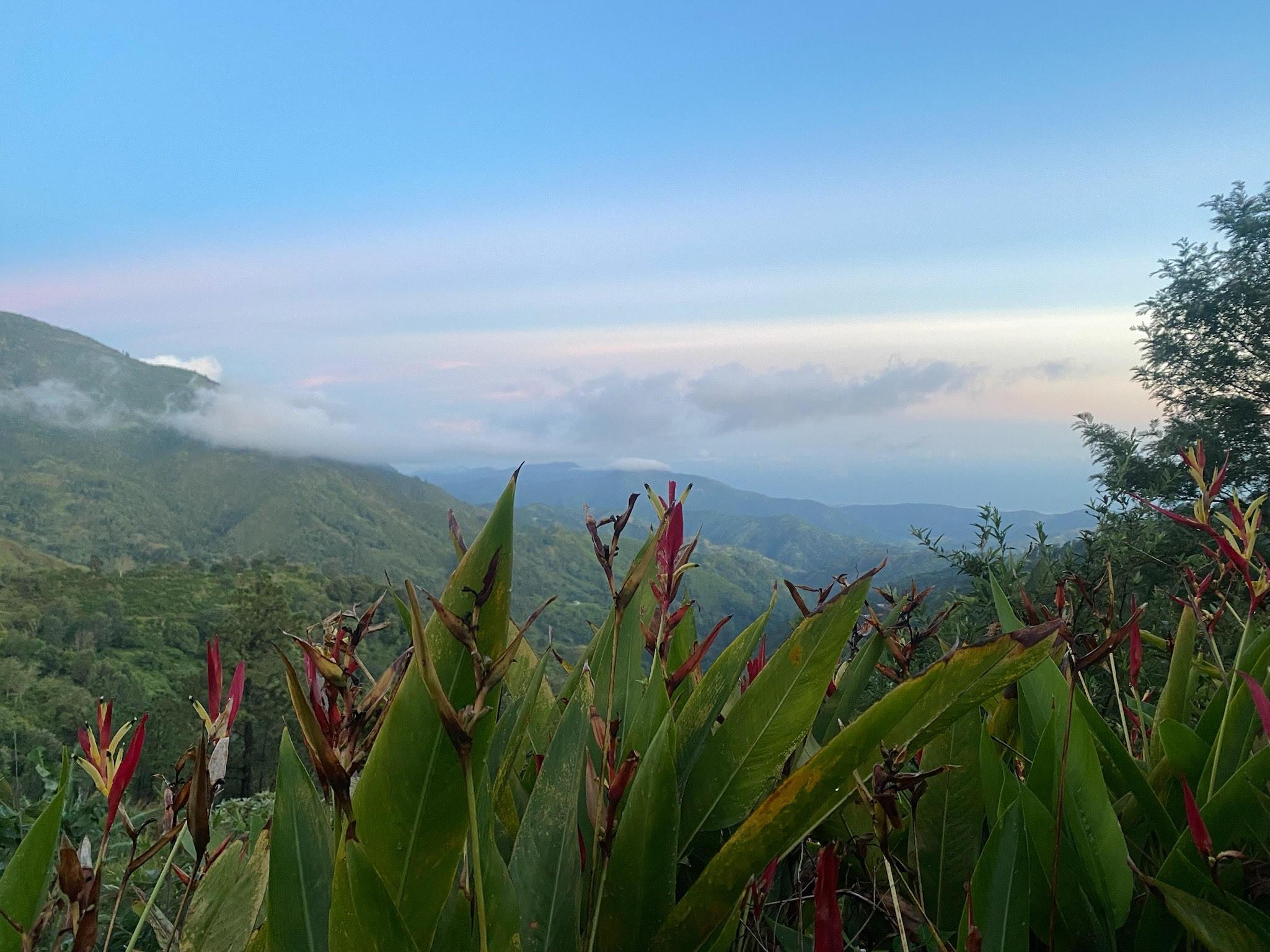 Kingston: Blue Mountain Peak Hike and Coffee Farm Experience – Blue Mountain Peak, Jamaica