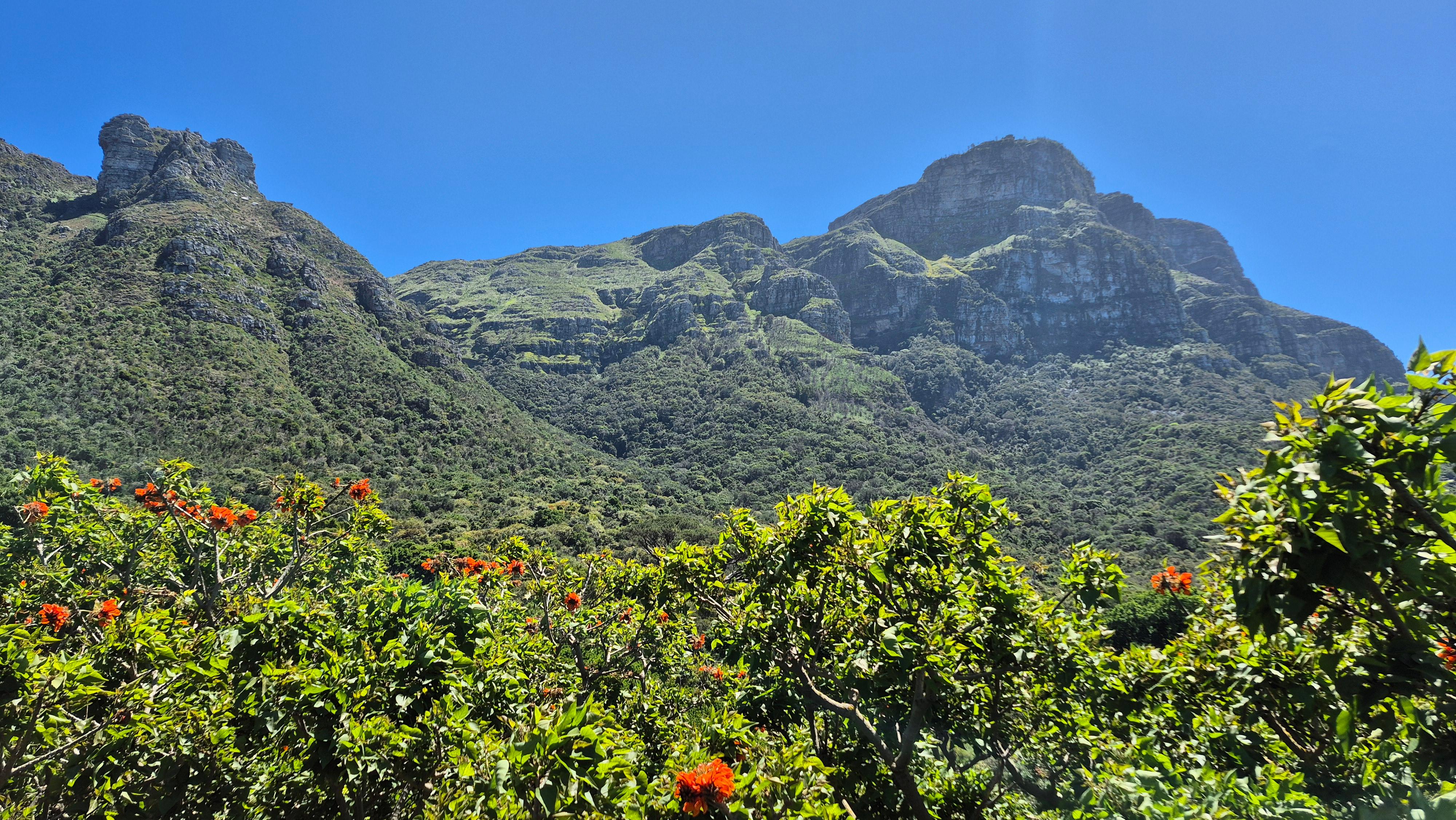 Kirstenbosch to Constantia Walk | Wine Tasting and Snacks – Cape Town, South Africa