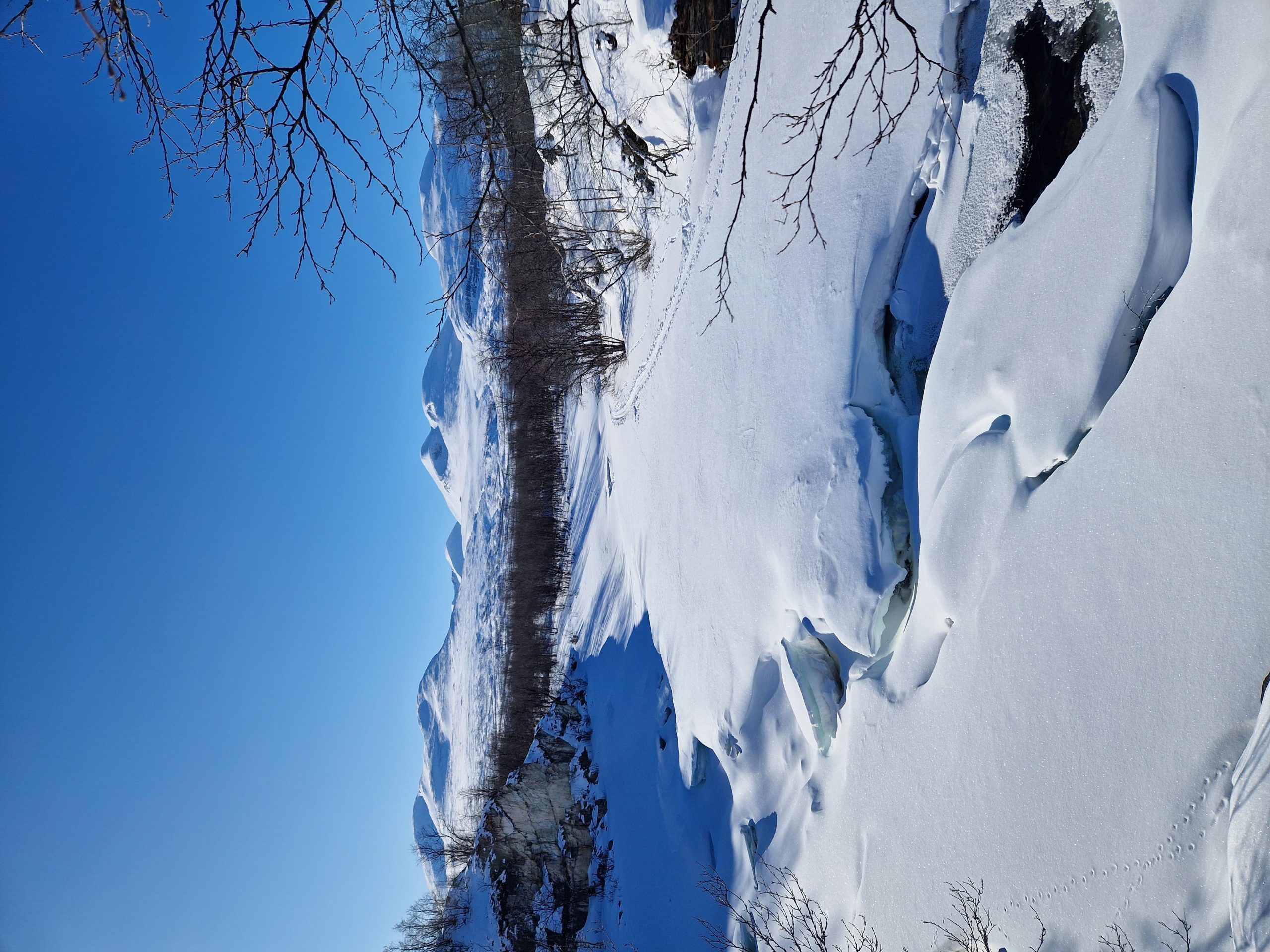 Kiruna: Abisko National Park Snowshoe Hike with Lunch – Abisko National Park, Sweden