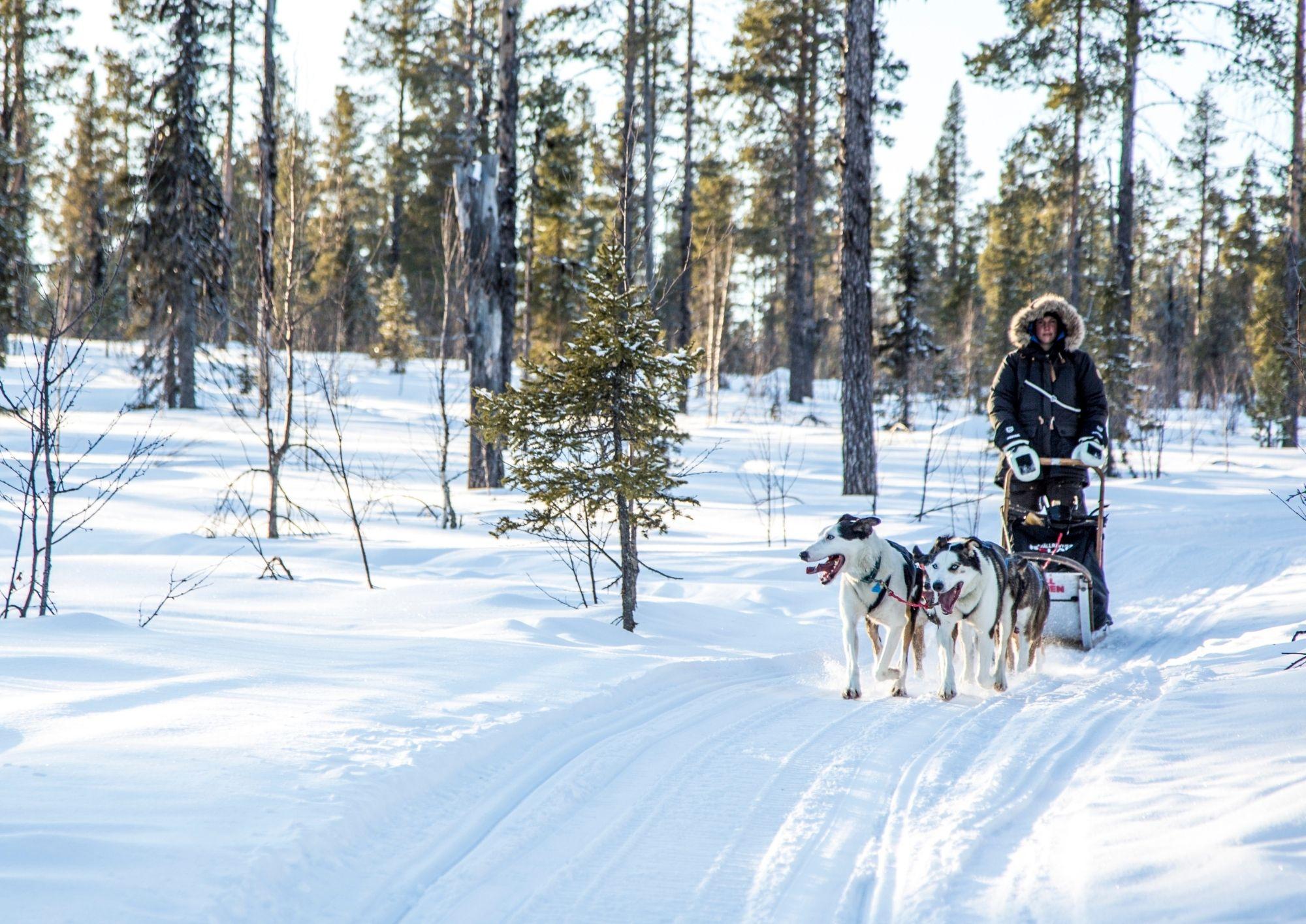 Kiruna: Drive Your Own Team Lunch Tour – Kiruna, Sweden