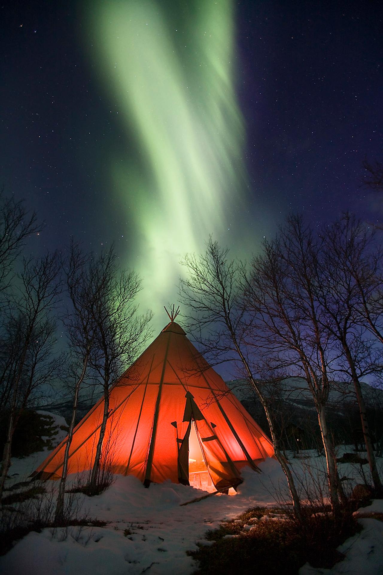 Kiruna: Northern Light Short Husky Tour with Coffee – Kiruna, Sweden