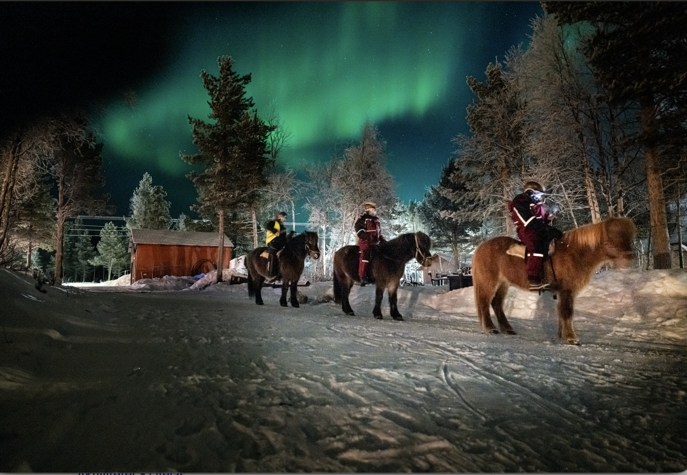 Kiruna: Northern Lights Horseback Ride with Dinner – Kiruna, Sweden
