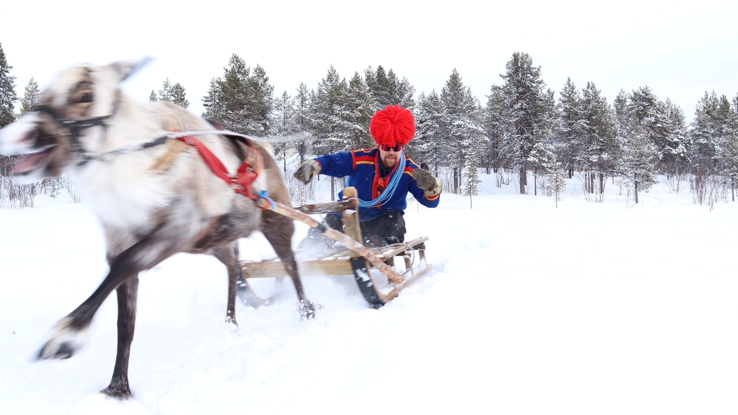 Kiruna: Reindeer Herder Tour with Sami Dinner and Transfers – Kiruna, Sweden
