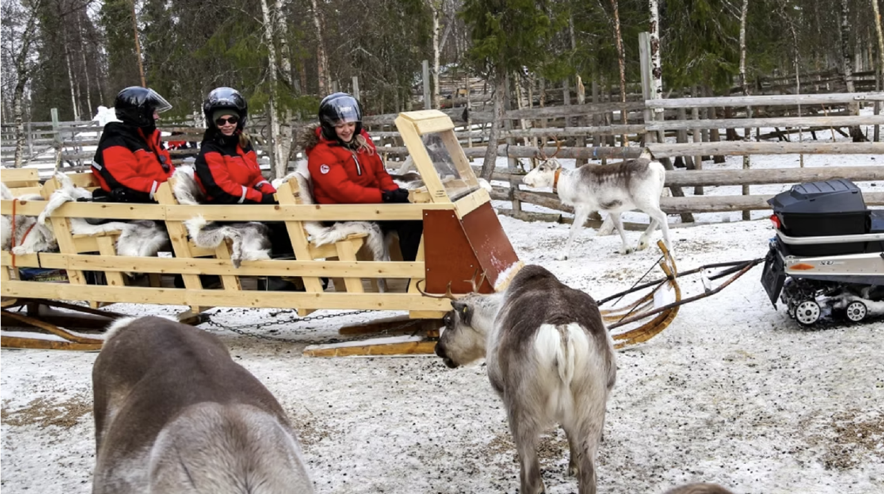 Kiruna: Sleigh Ride with Reindeer Feeding & Warm Drinks – Kiruna, Sweden