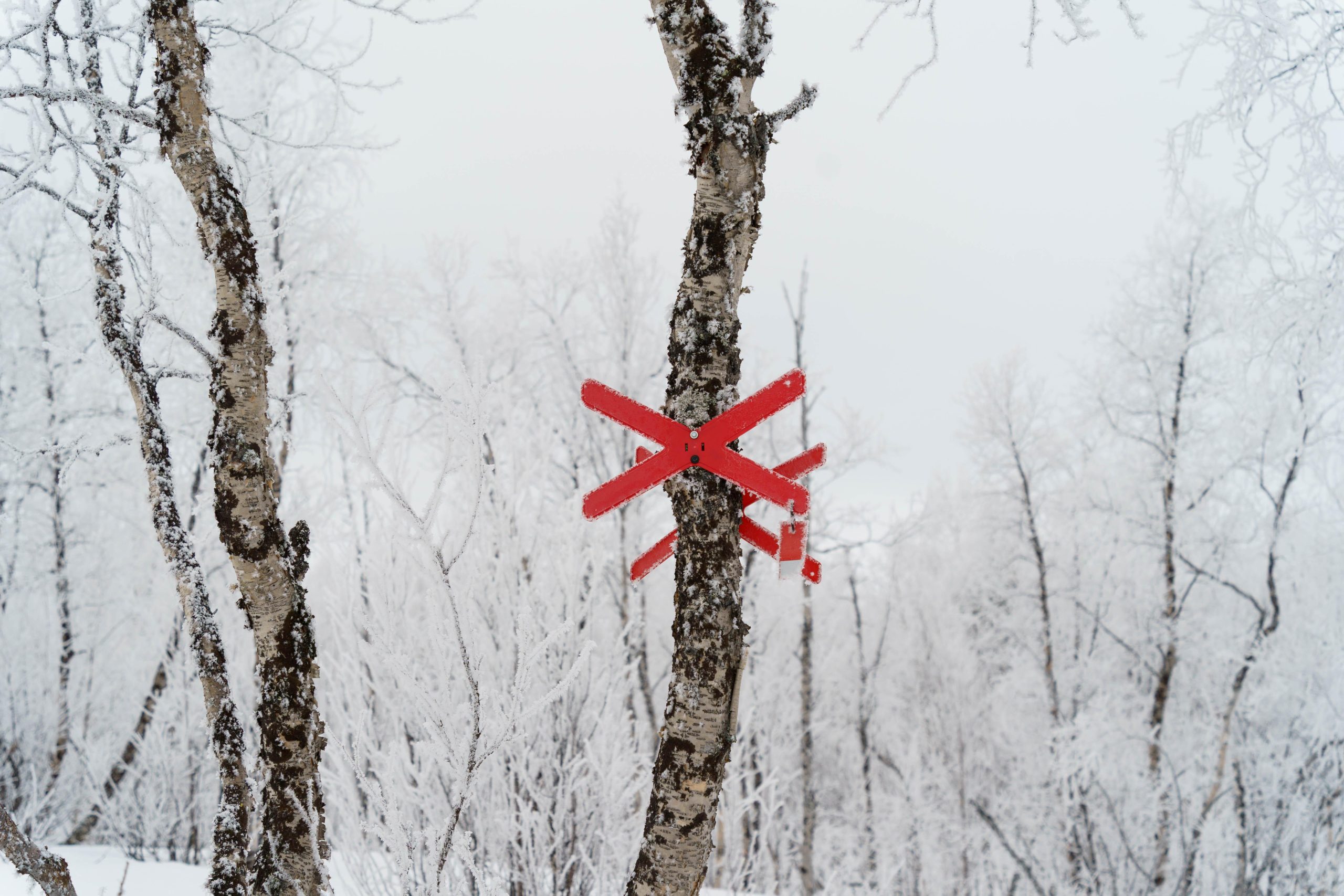 Kiruna: Small Group Snowmobile with Snacks – Kiruna, Sweden