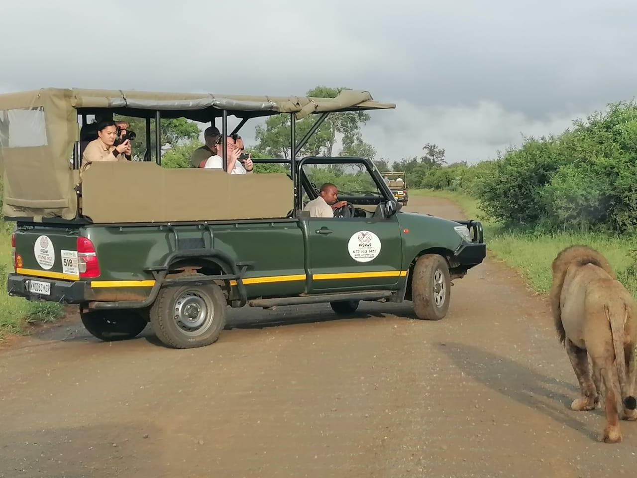 Kruger Morning Game Drive from Marloth Park & Komatipoort – Marloth Park, South Africa